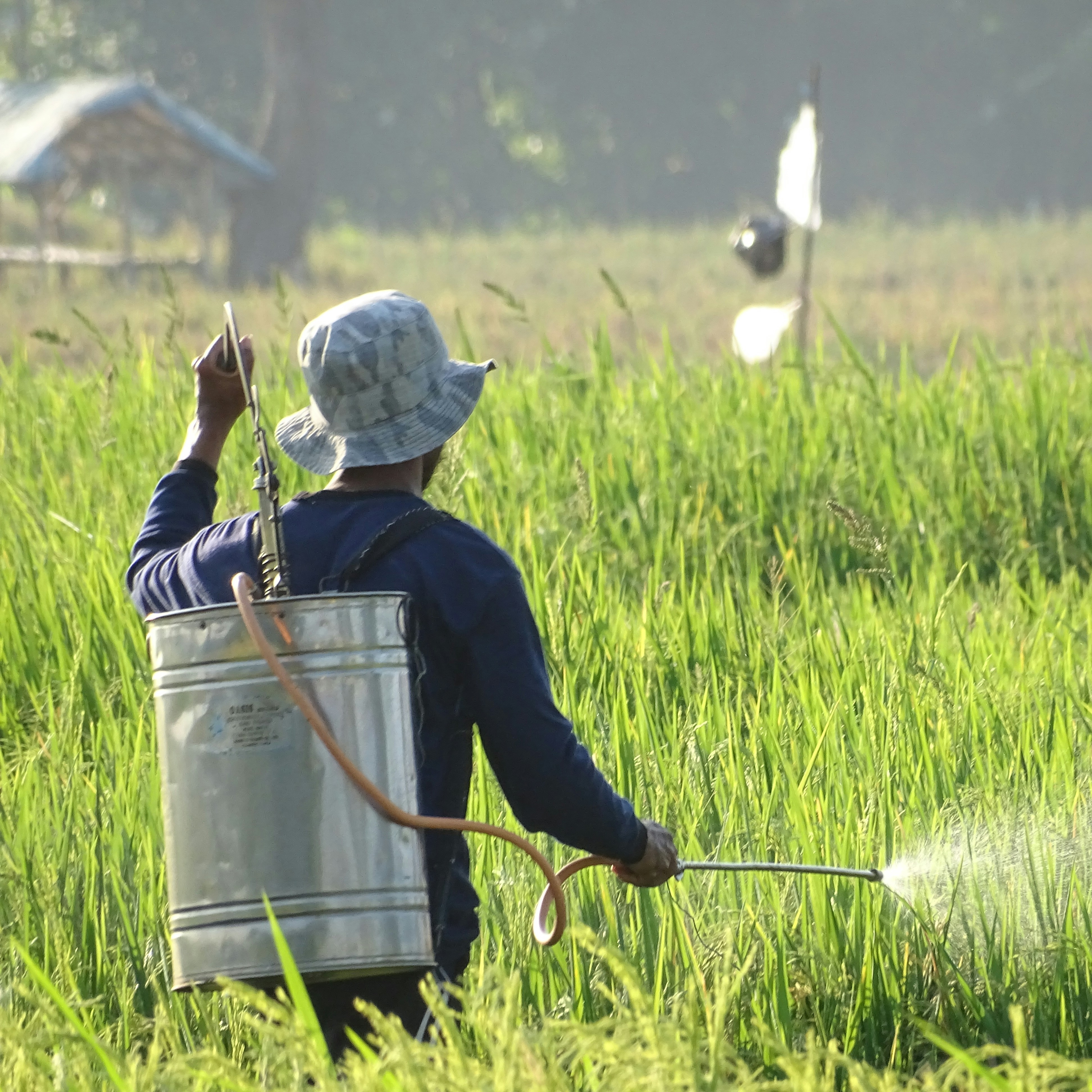 Farmer wearing protective gloves mask and apron for pesticide application, safety equipment