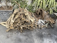 A pile of firewood stacked on a concrete surface, surrounded by green leafy plants in decorative planters. A burlap sack is draped over part of the wood, adding a rustic element to the scene.