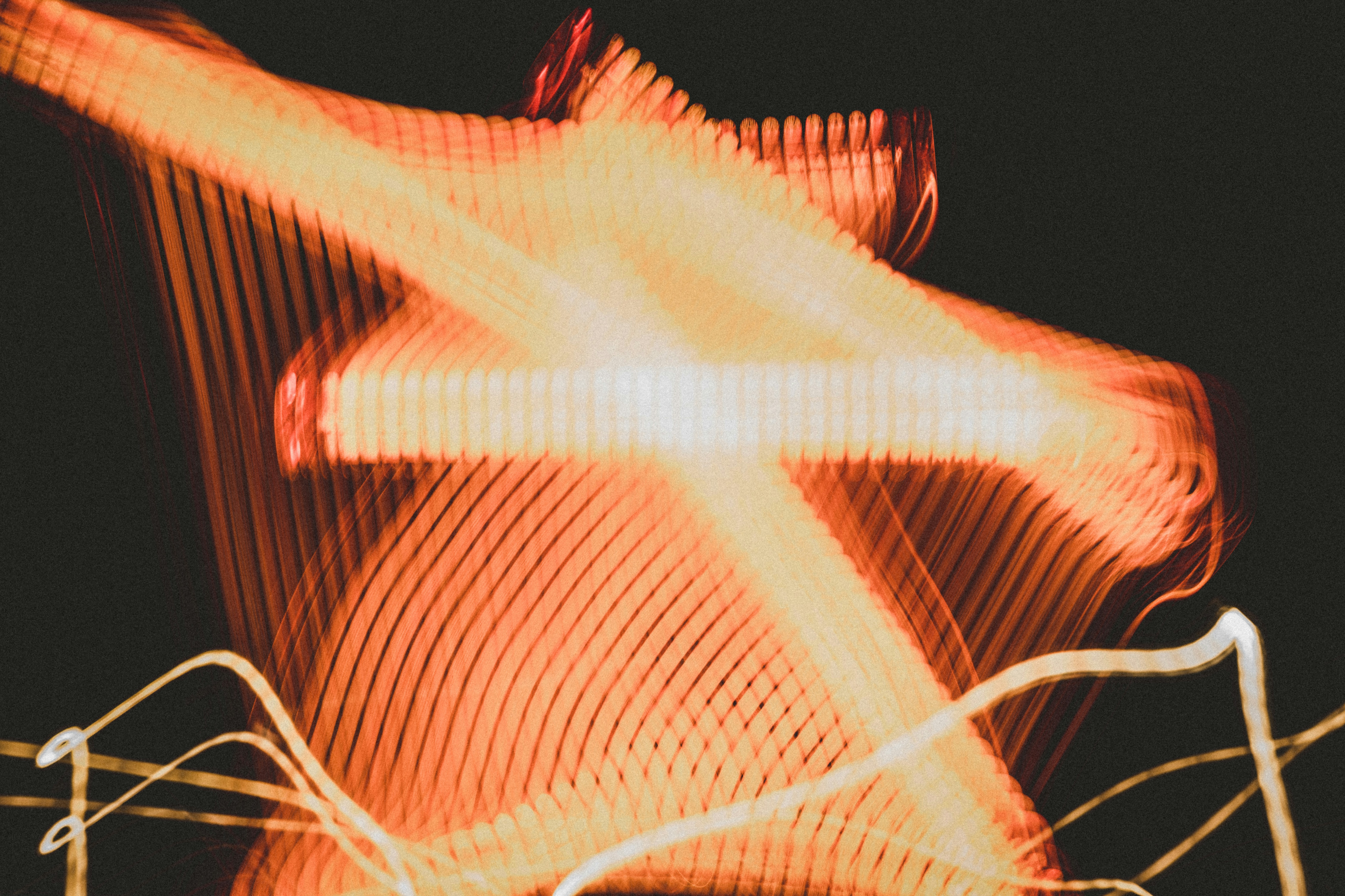 Photo by reganography