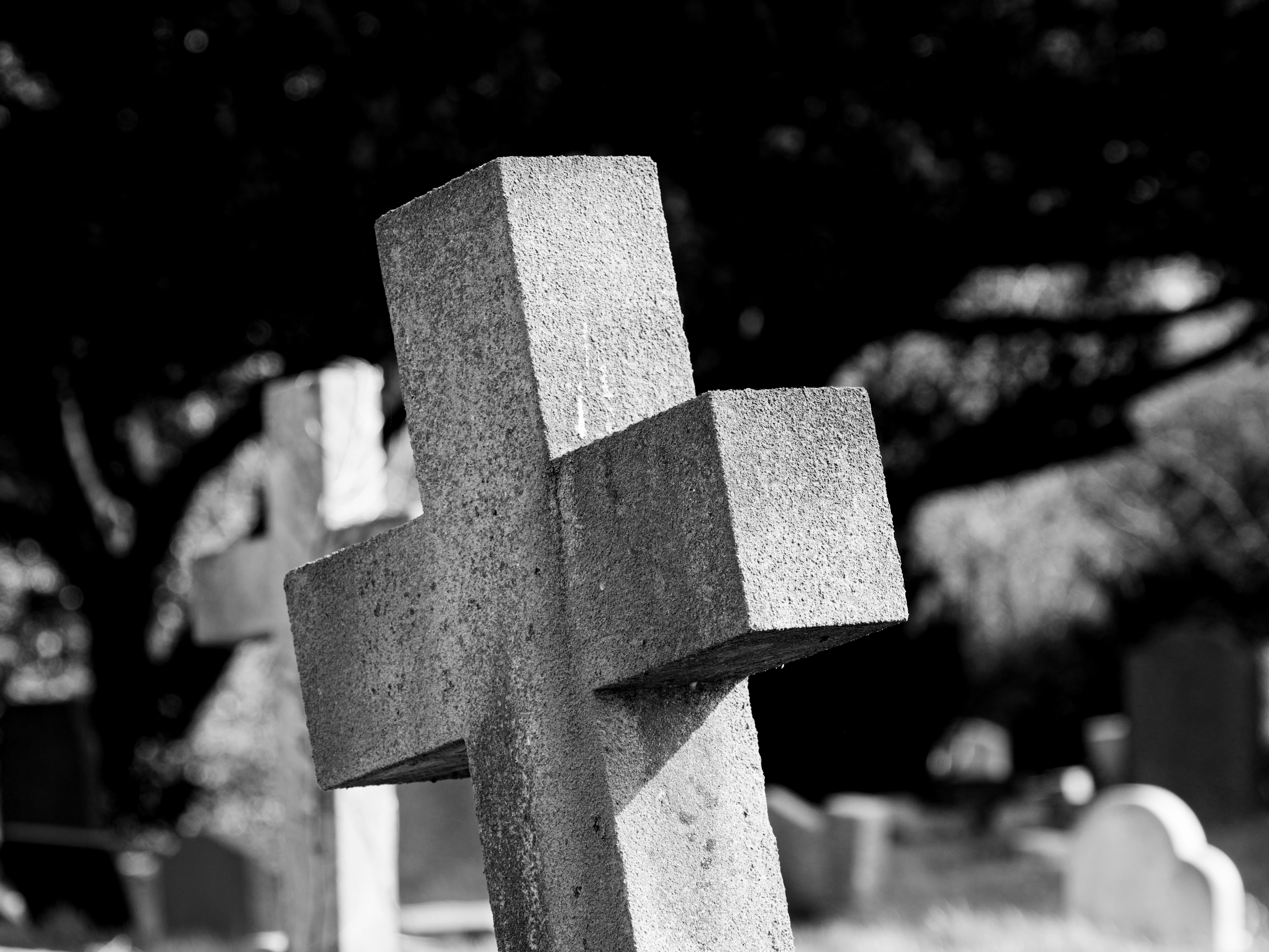 Photo by brett_jordan