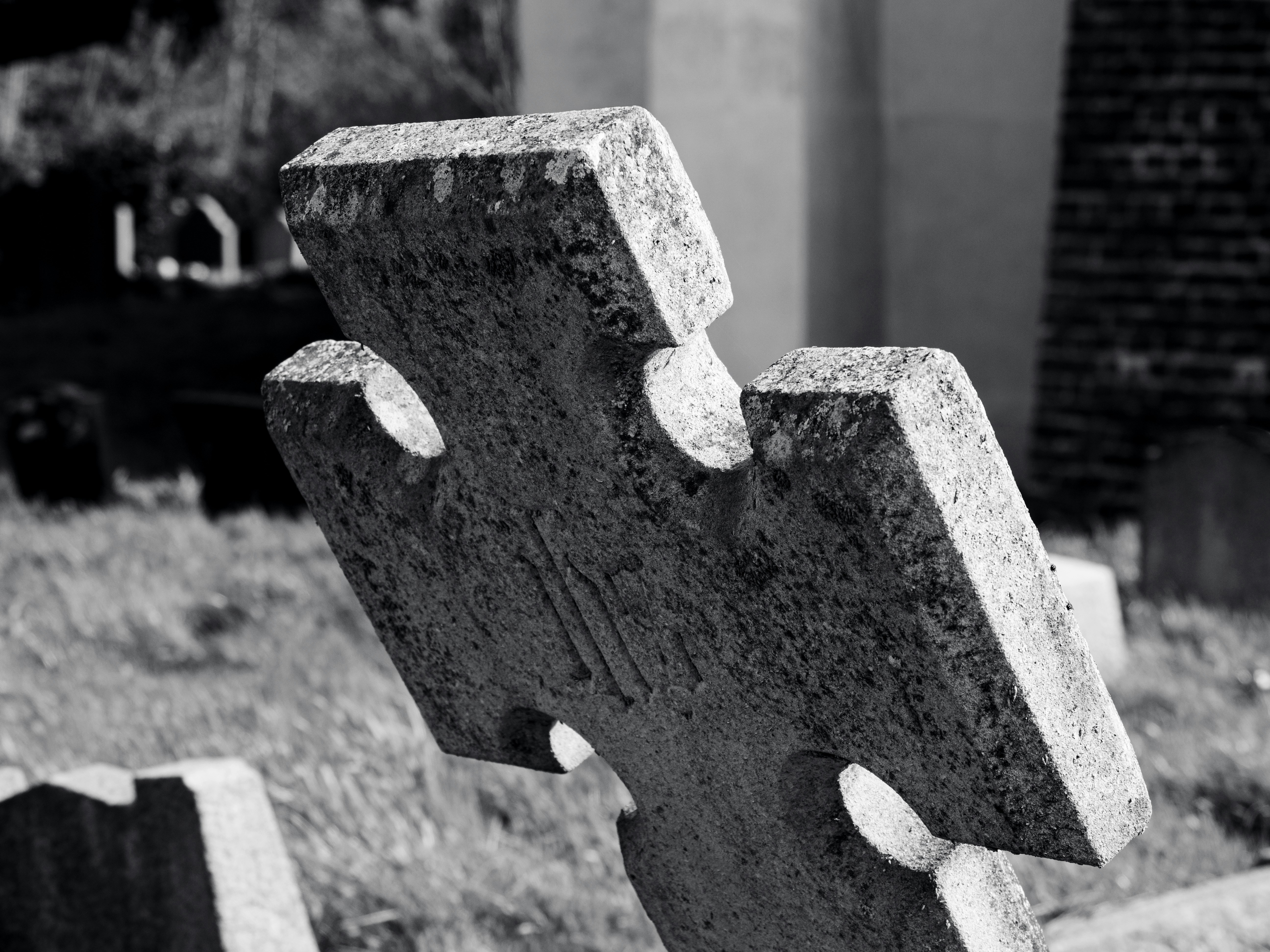 Photo by brett_jordan