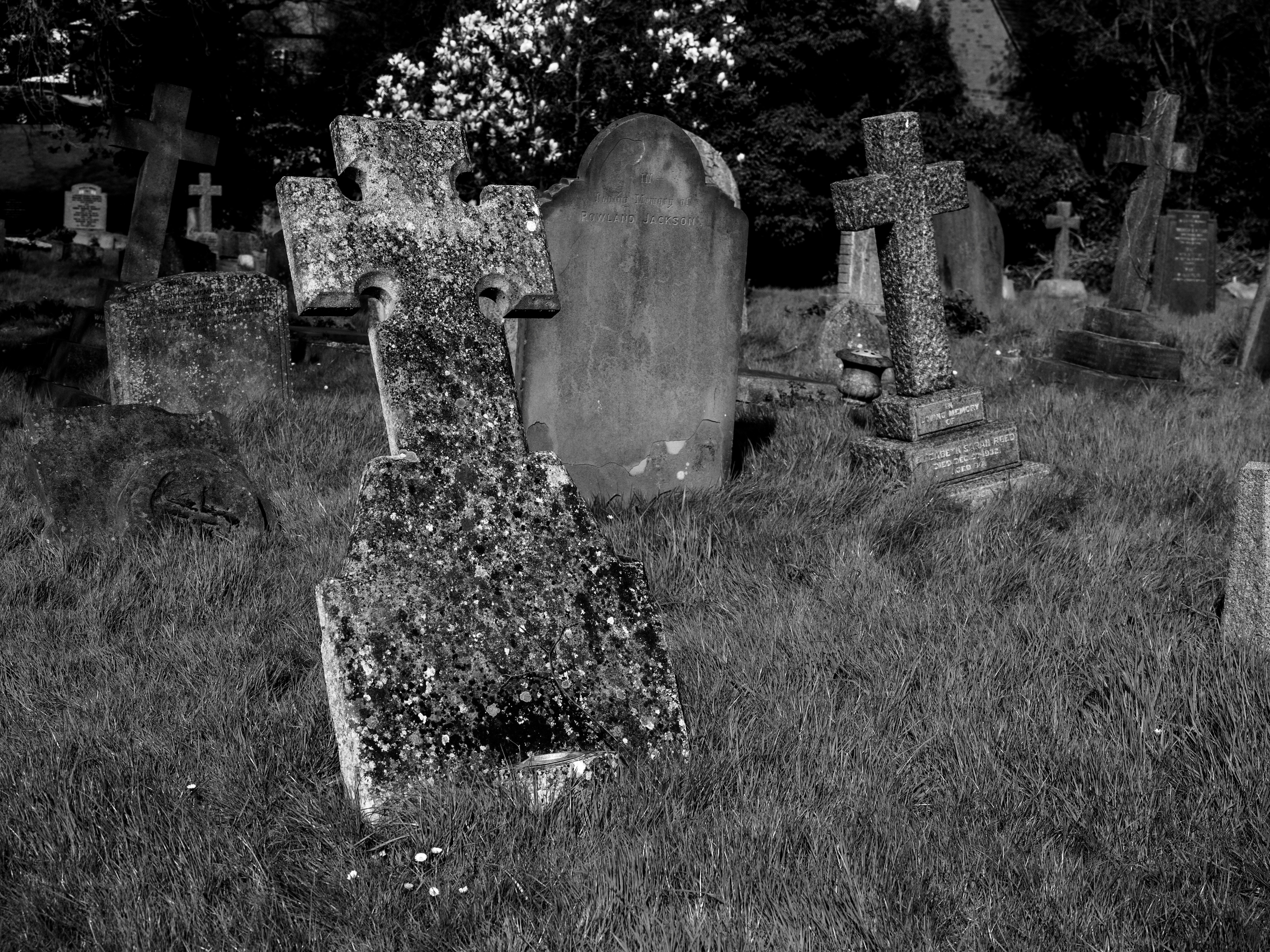 Photo by brett_jordan