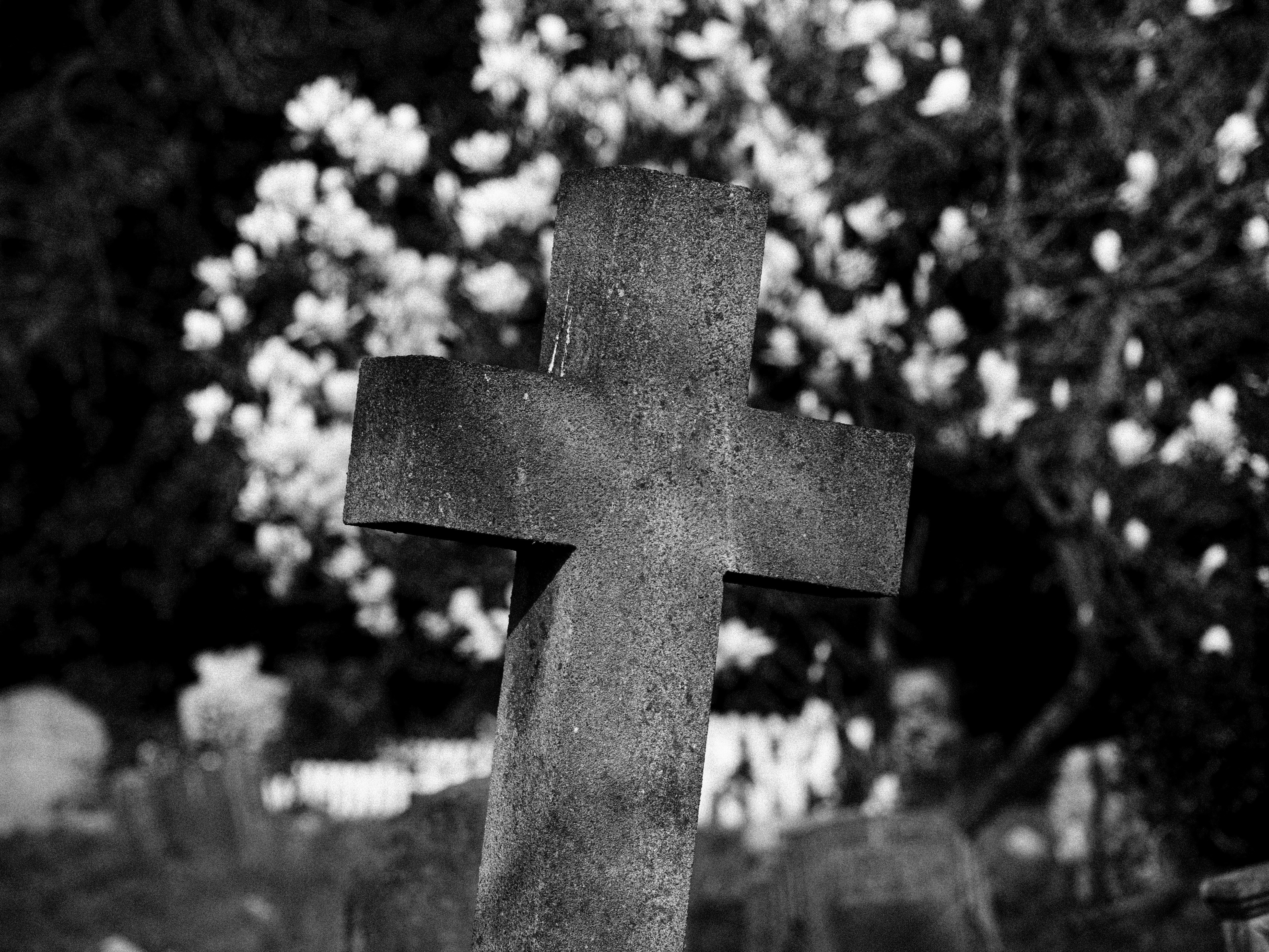 Photo by brett_jordan