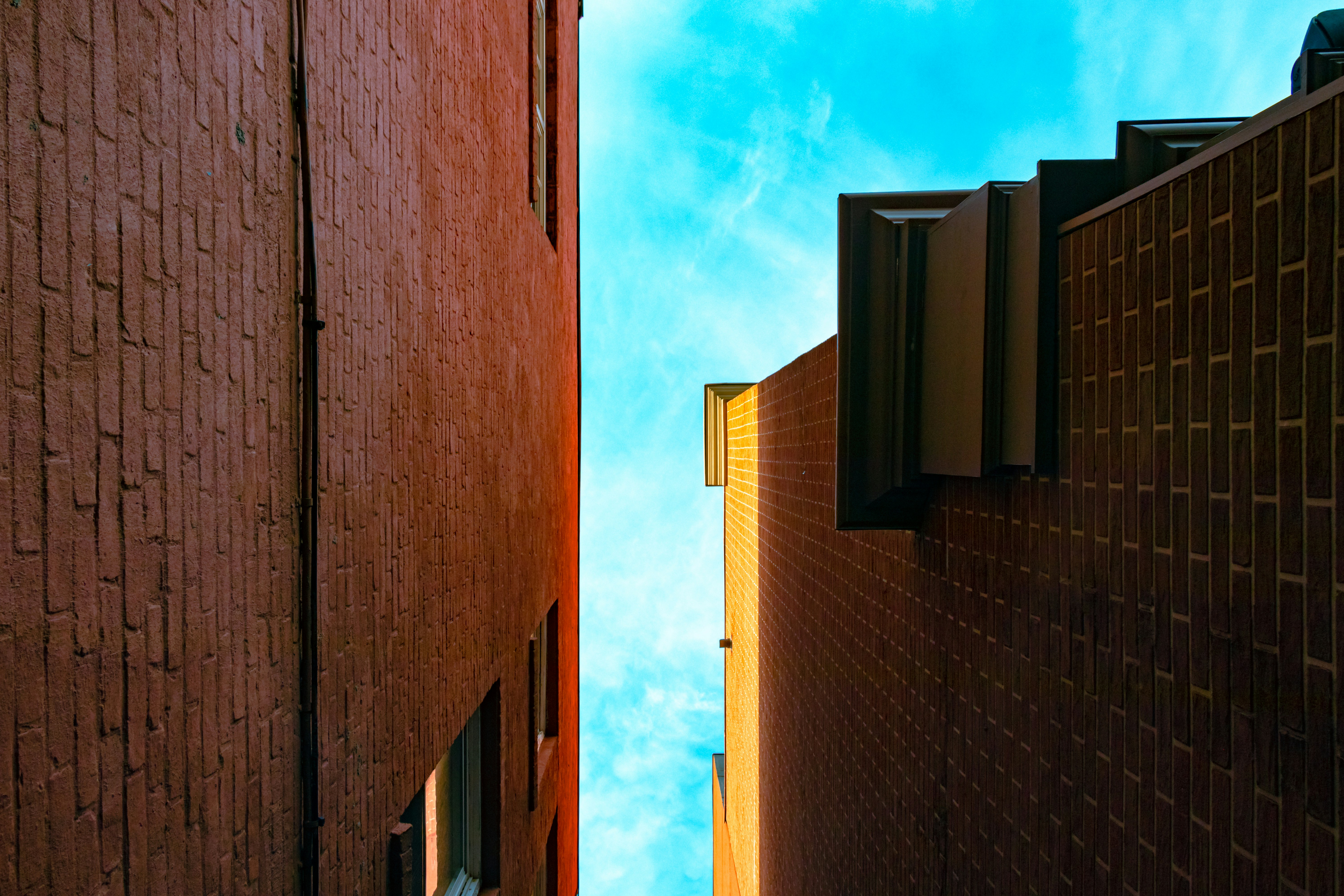 Photo by clayleconey