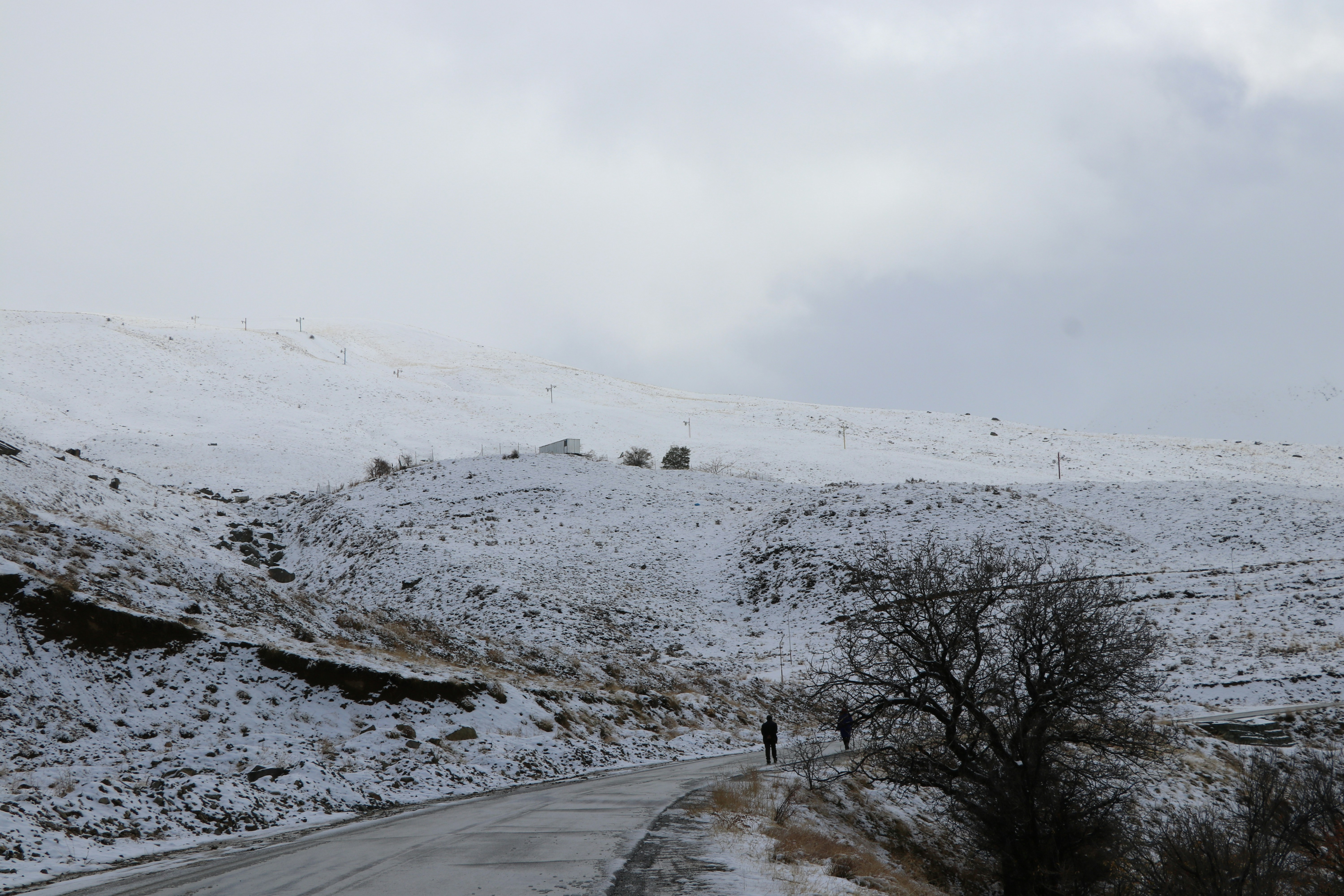 Photo by mohammadrezaphoto