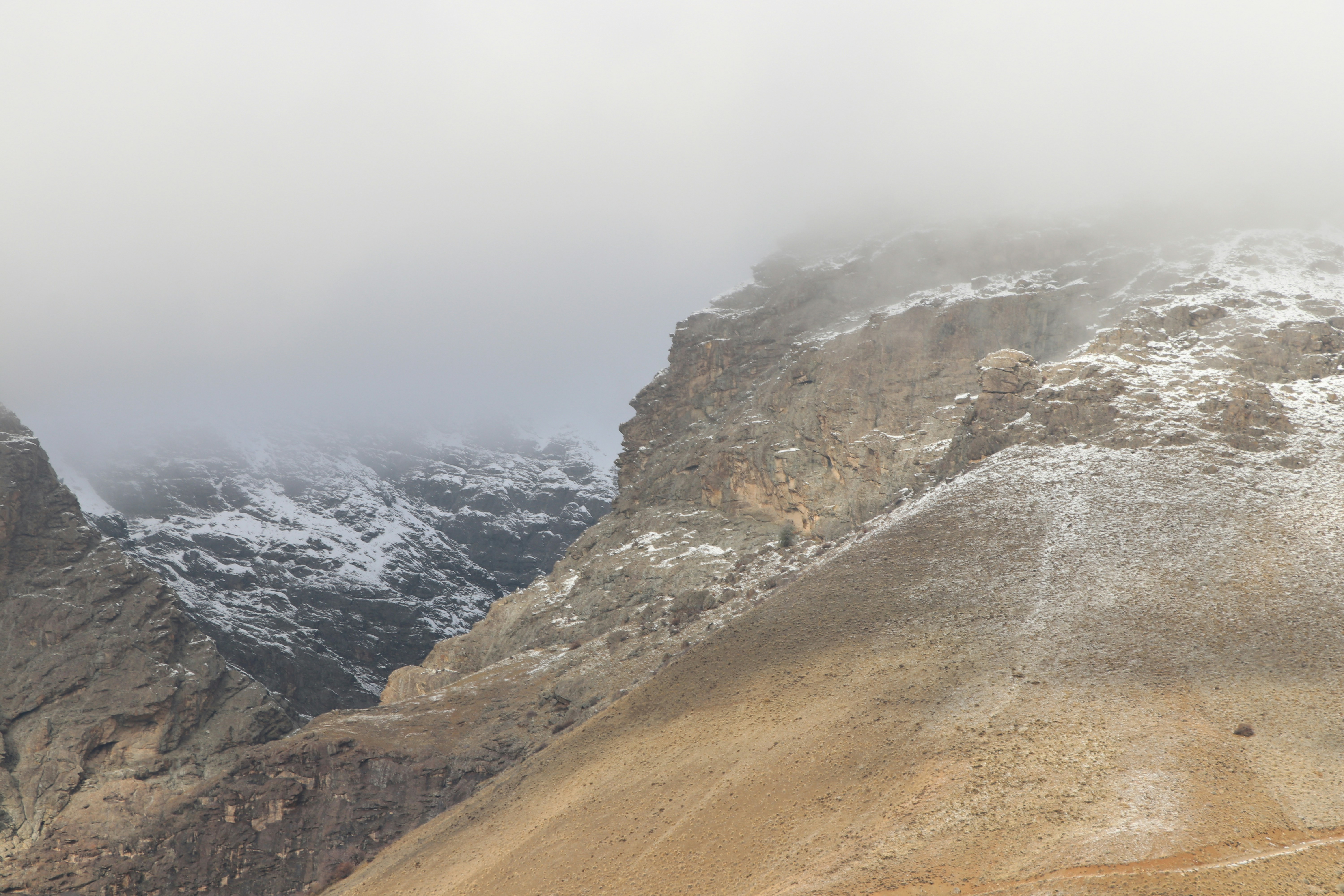 Photo by mohammadrezaphoto