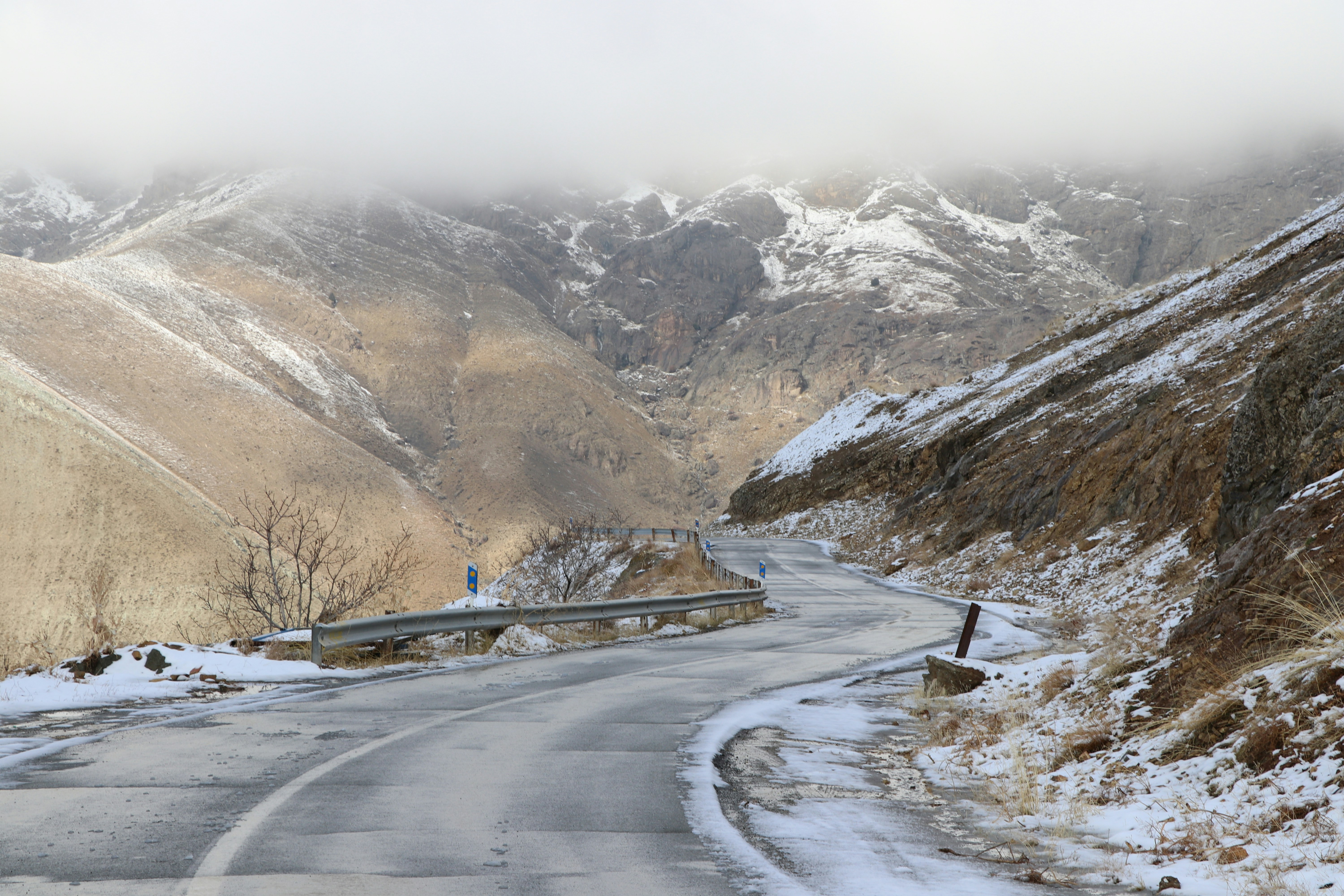 Photo by mohammadrezaphoto