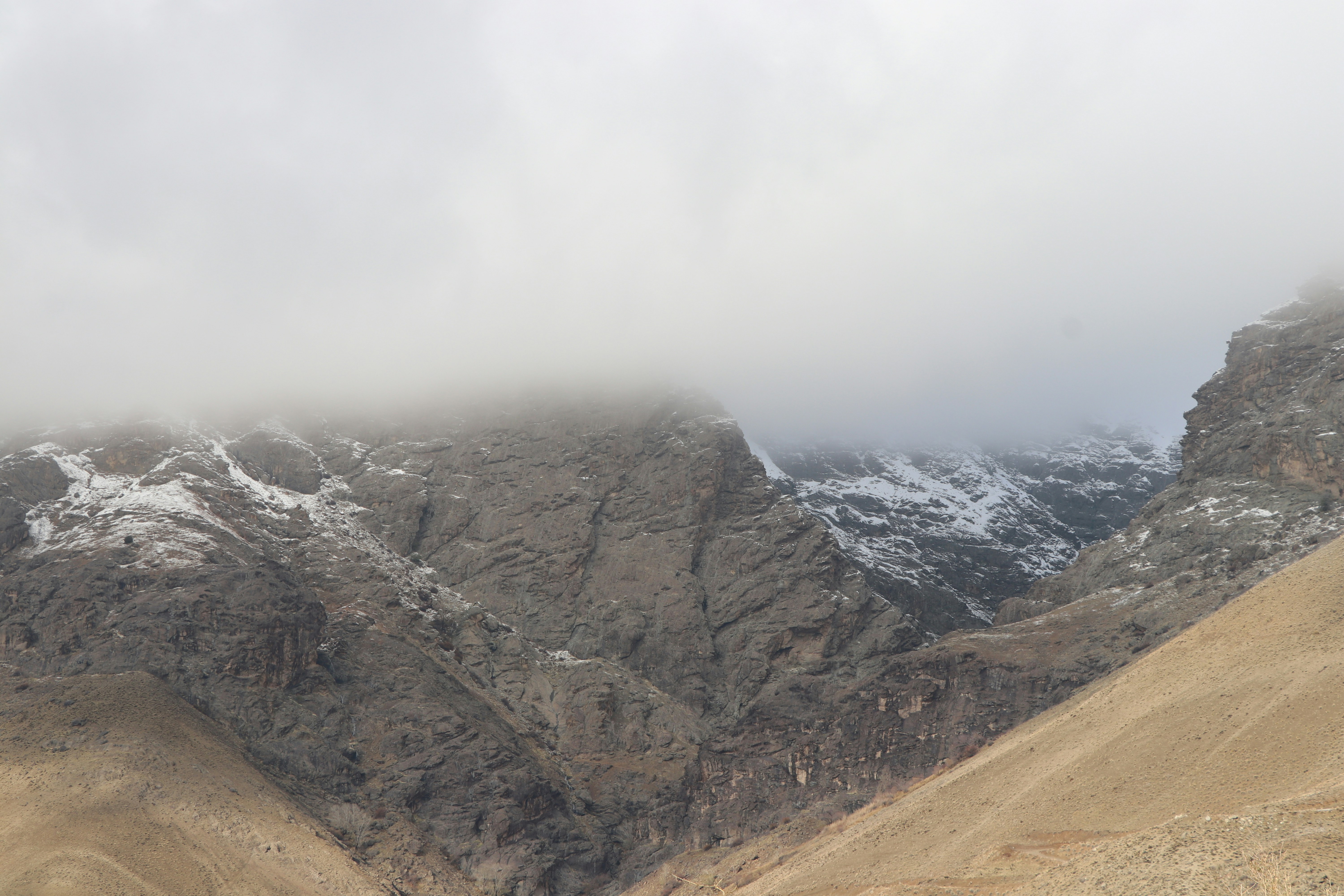 Photo by mohammadrezaphoto