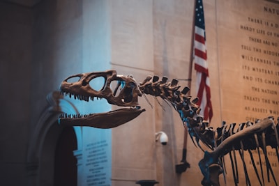 A dinosaur skeleton is prominently displayed within a museum setting, with an American flag hanging in the background and inscriptions on a stone wall. The setting conveys a sense of history and education.