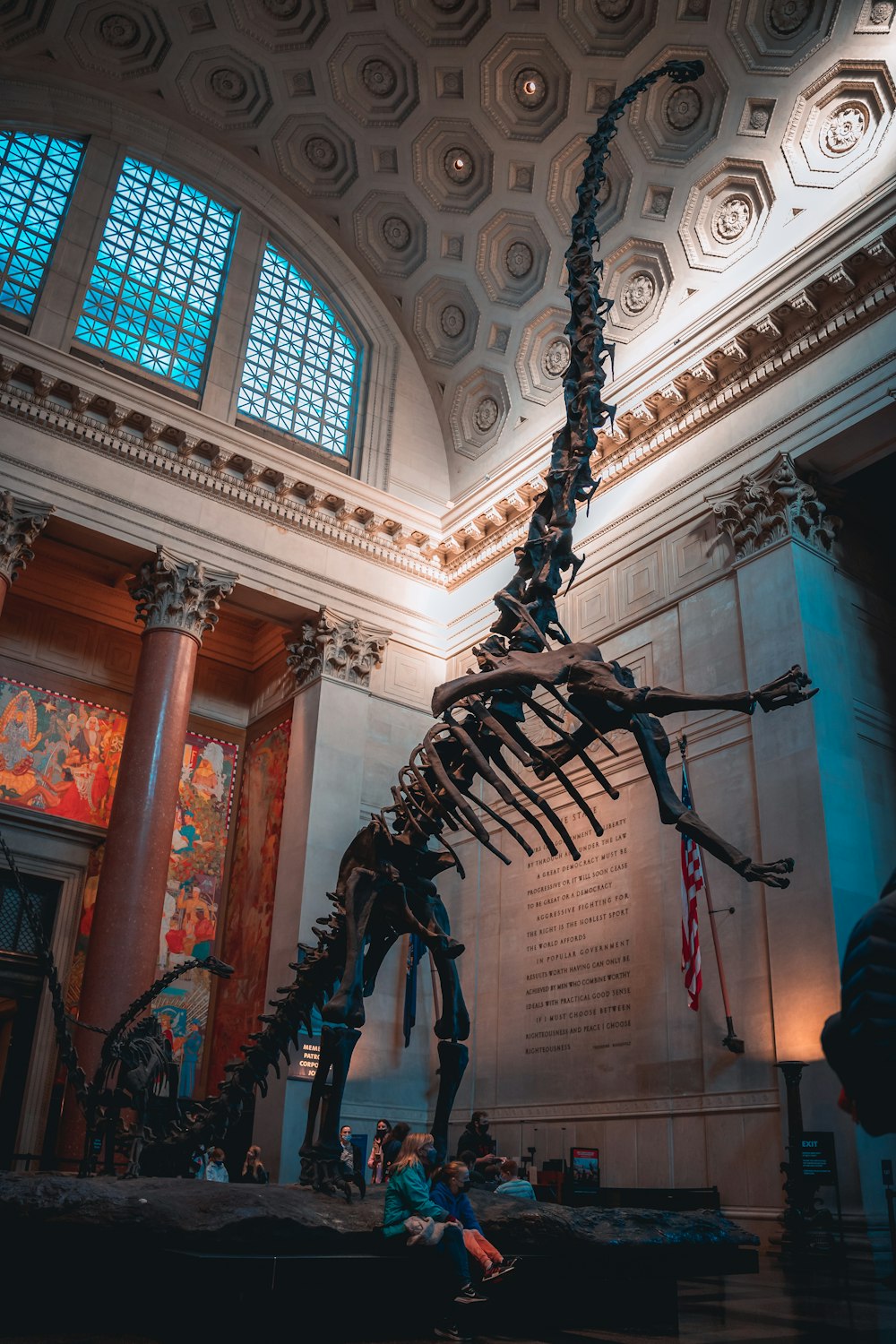a large dinosaur skeleton is in a museum