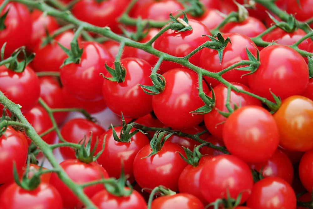 a close up of a bunch of tomatoes
