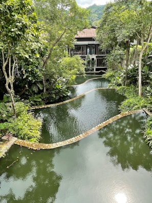 A serene environment featuring a winding water body surrounded by lush green vegetation and trees. There is a building at the far end partially hidden by the foliage, suggesting a peaceful retreat in a natural setting.