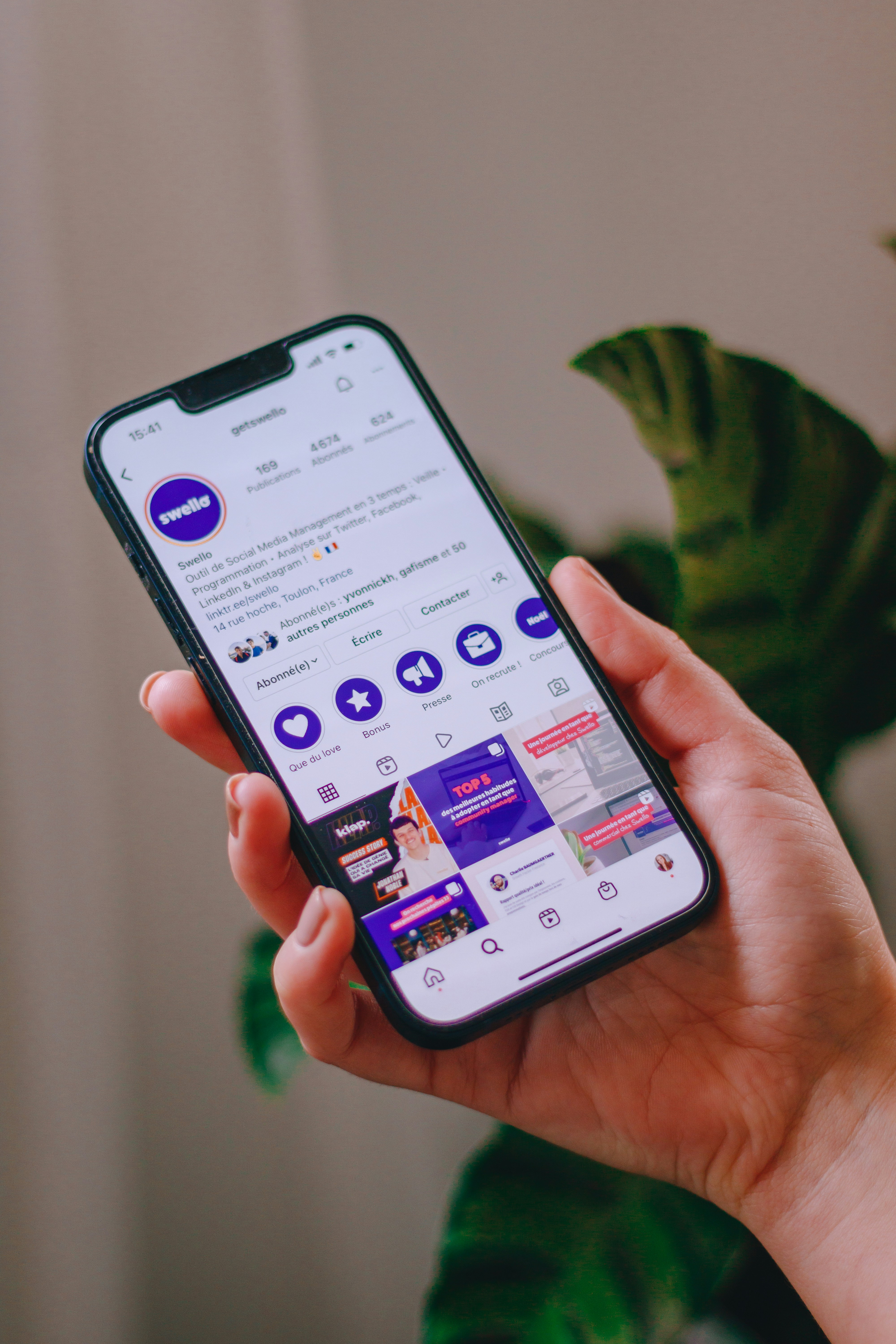 Case study for brand growth campaign, managed by Giorgi Mantidze. Case study image 2.