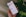 a person holding a cell phone in their hand