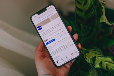 Creación de contenido para redes sociales