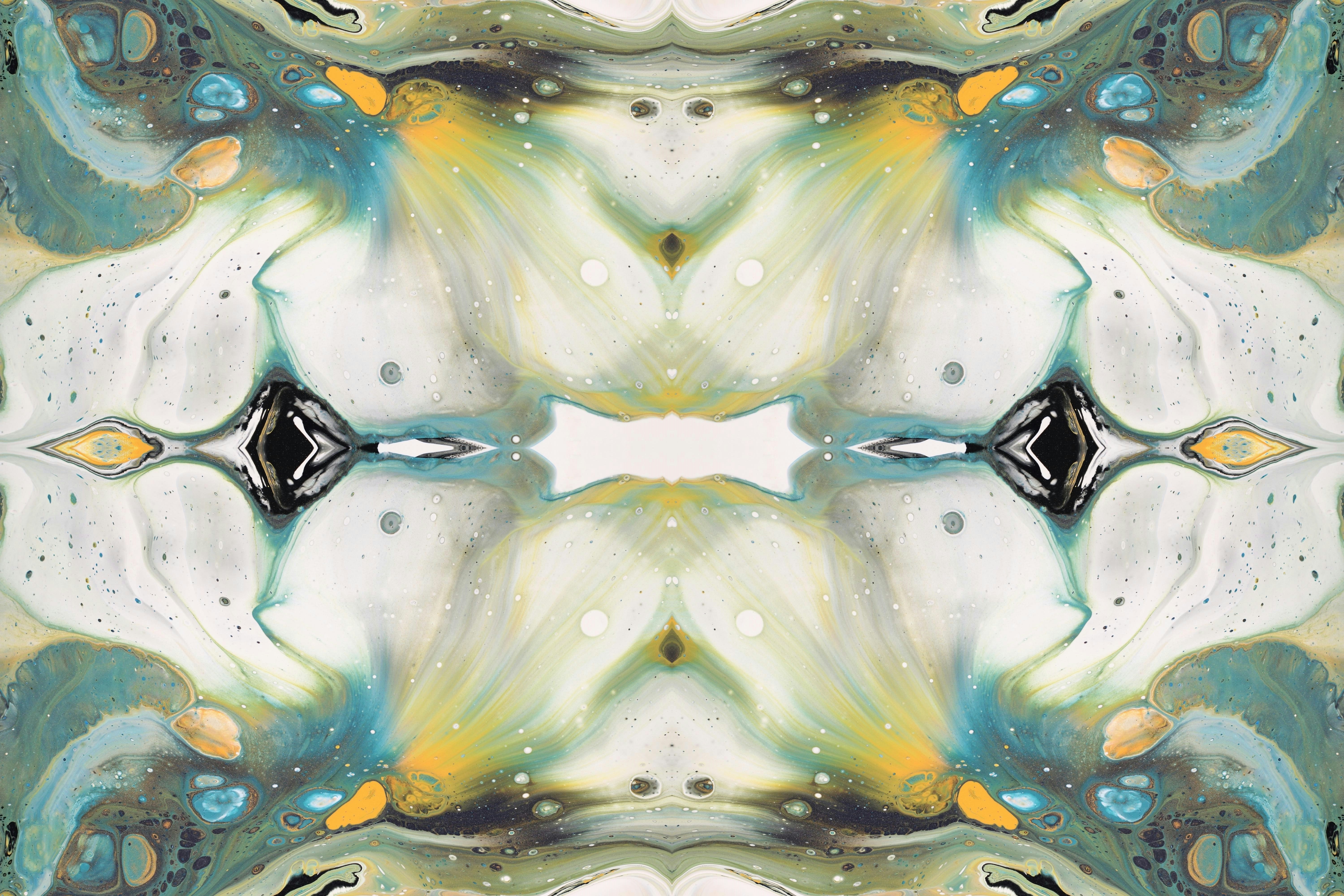 Photo by susan_wilkinson