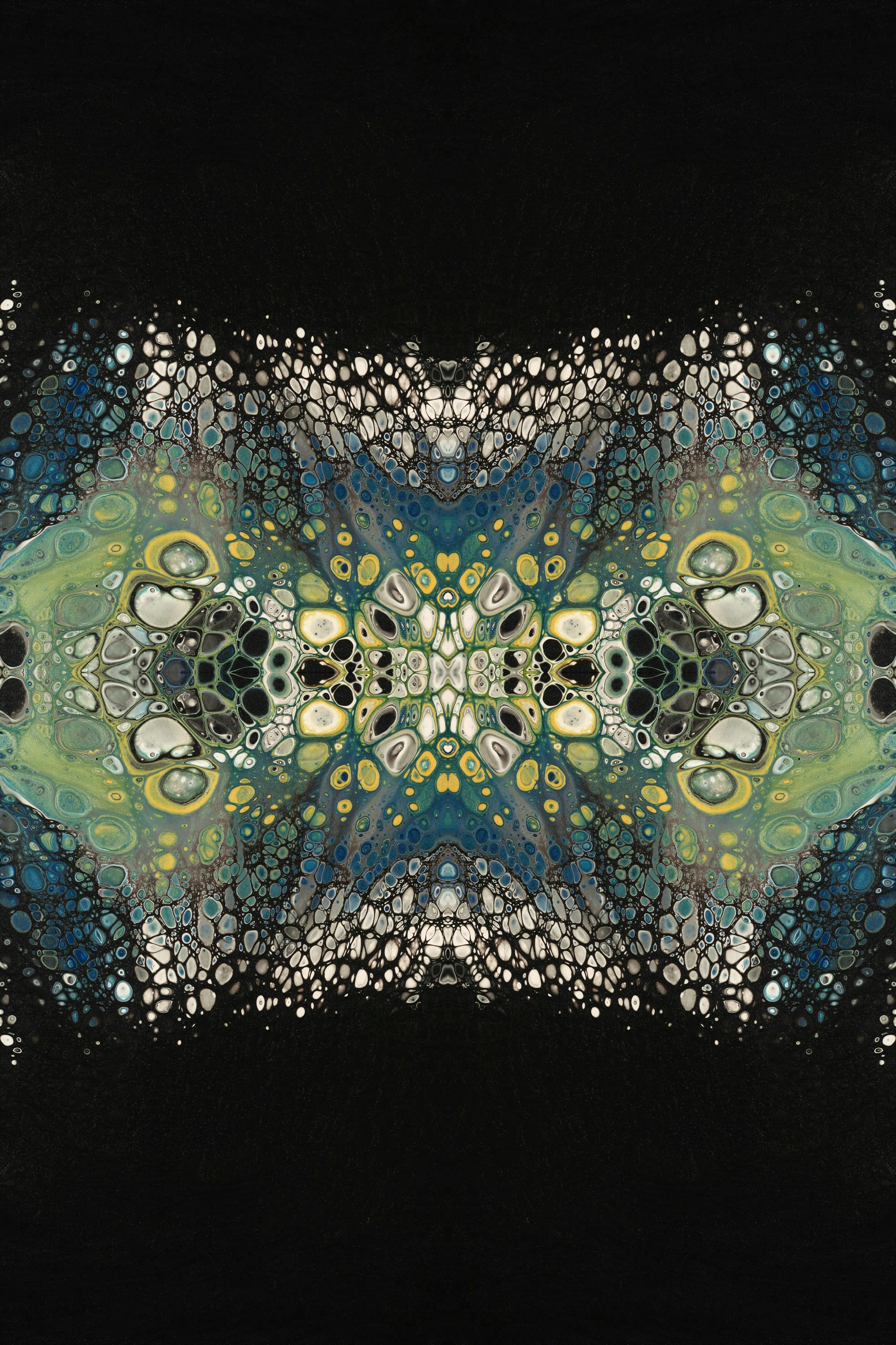 Photo by susan_wilkinson