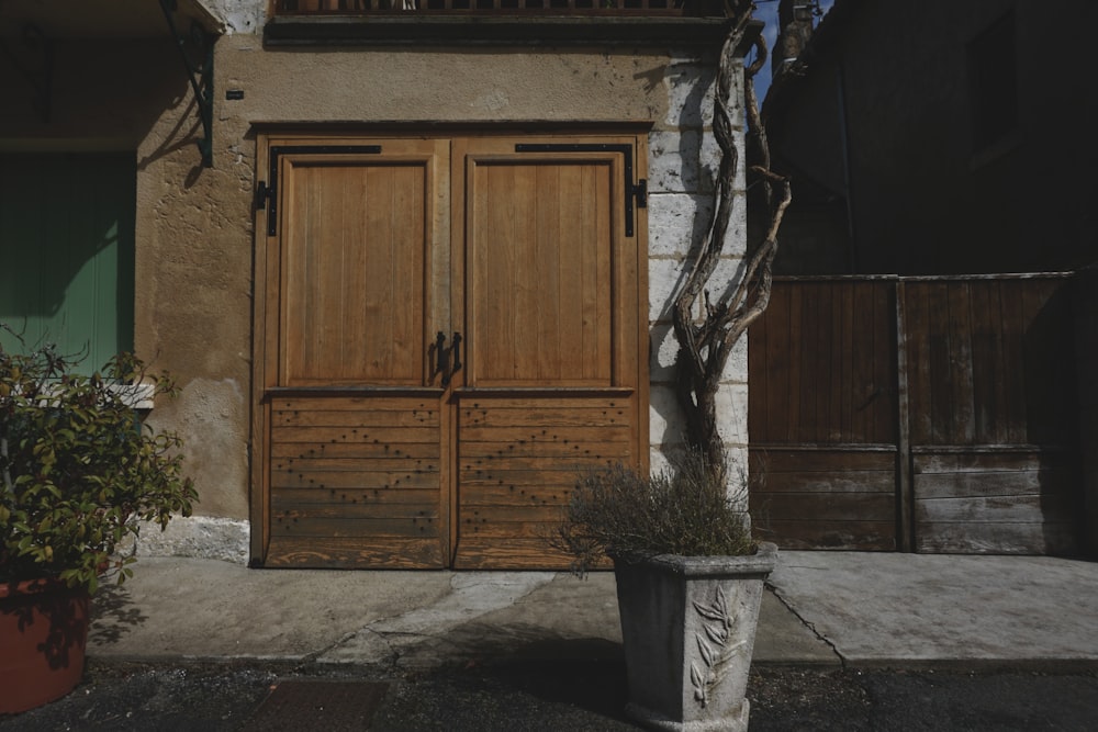 a potted plant sitting in front of a wooden door