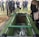 A group of people, dressed in formal clothing, stand around an open grave. The grave is surrounded by green fabric, and within it lies a coffin with roses placed on top. A woman in the foreground holds a single rose over the grave, while a man with a shovel stands nearby. The mood is somber, suggesting a funeral or memorial service.