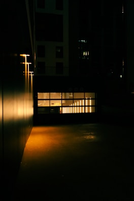 Technician from Alfra Garage Door Repairs LLC fixing a garage door opener at dusk.