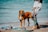 A brown dog stands attentively on sandy beach alongside a person dressed in colorful, patterned clothing. A kiteboard is placed on the sand with the ocean in the background.