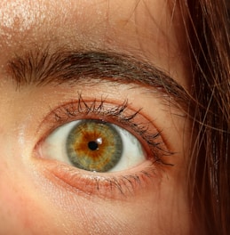 a-eye gallery iris photo