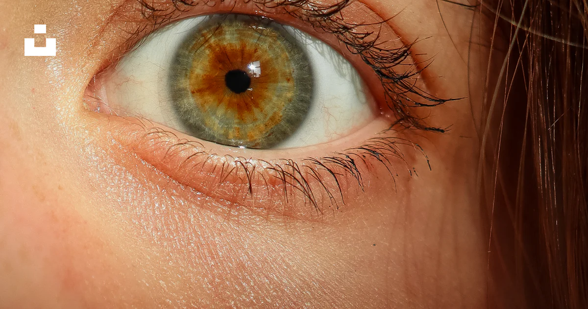 A Close Up Of A Person s Brown Eye Photo Free Skin Image On Unsplash a-close-up-of-a-person-s-brown-eye-photo-free-skin-image-on-unsplash