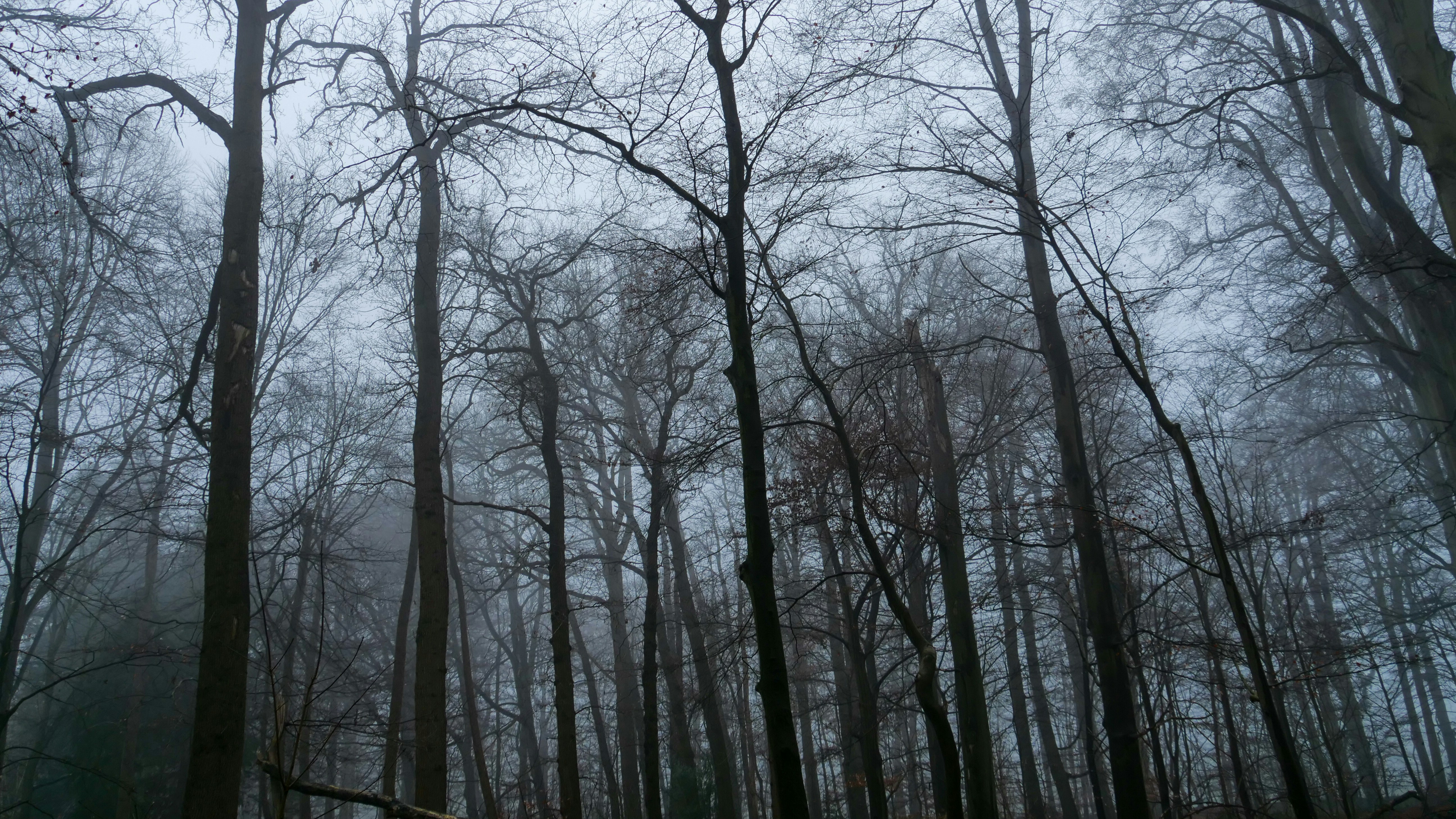 Photo by leonbredella