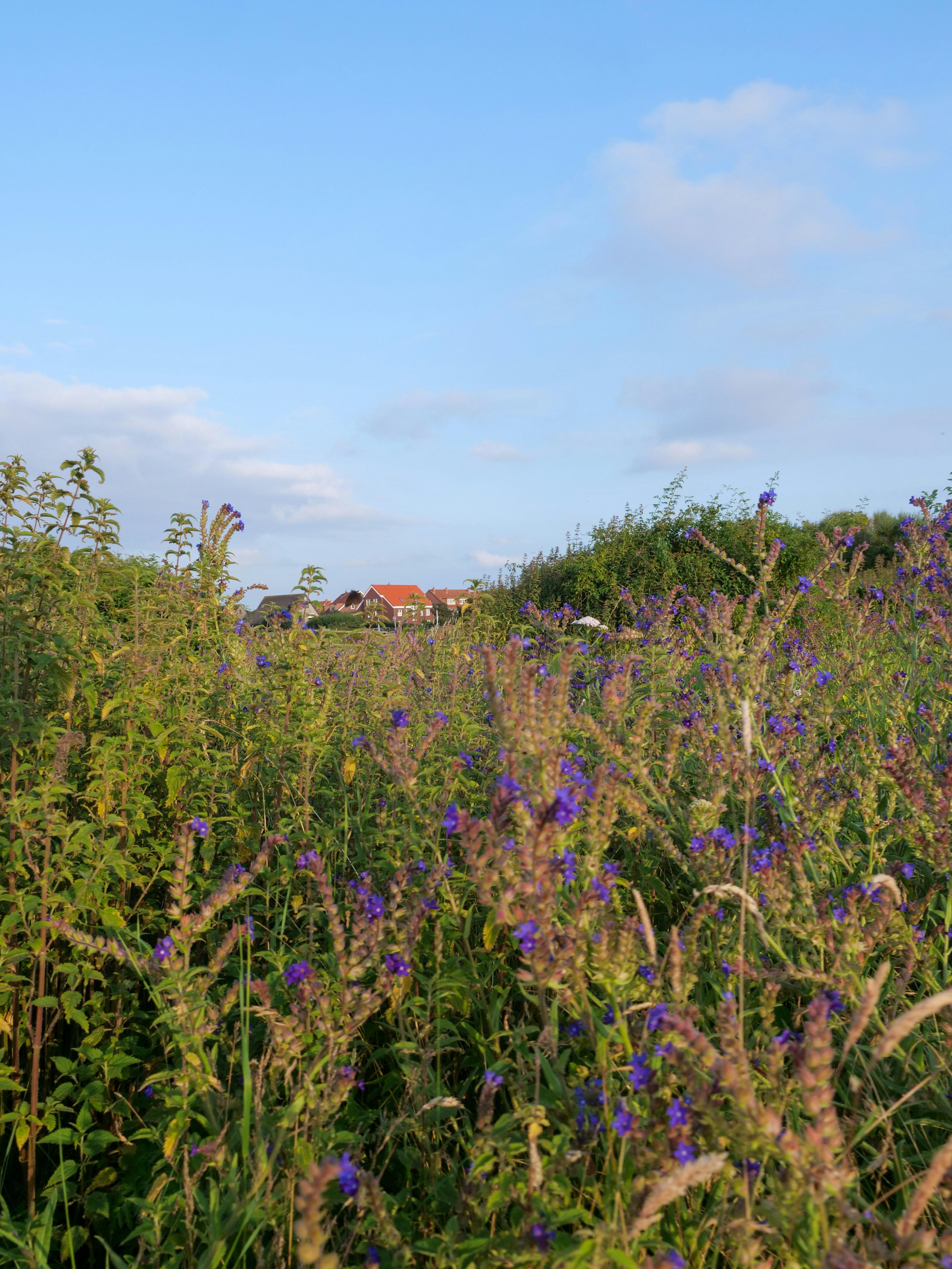 Photo by leonbredella