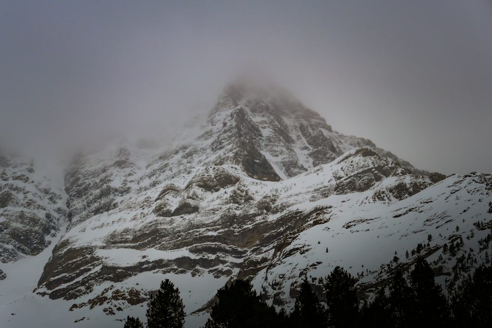 a mountain covered in snow with trees in the foreground