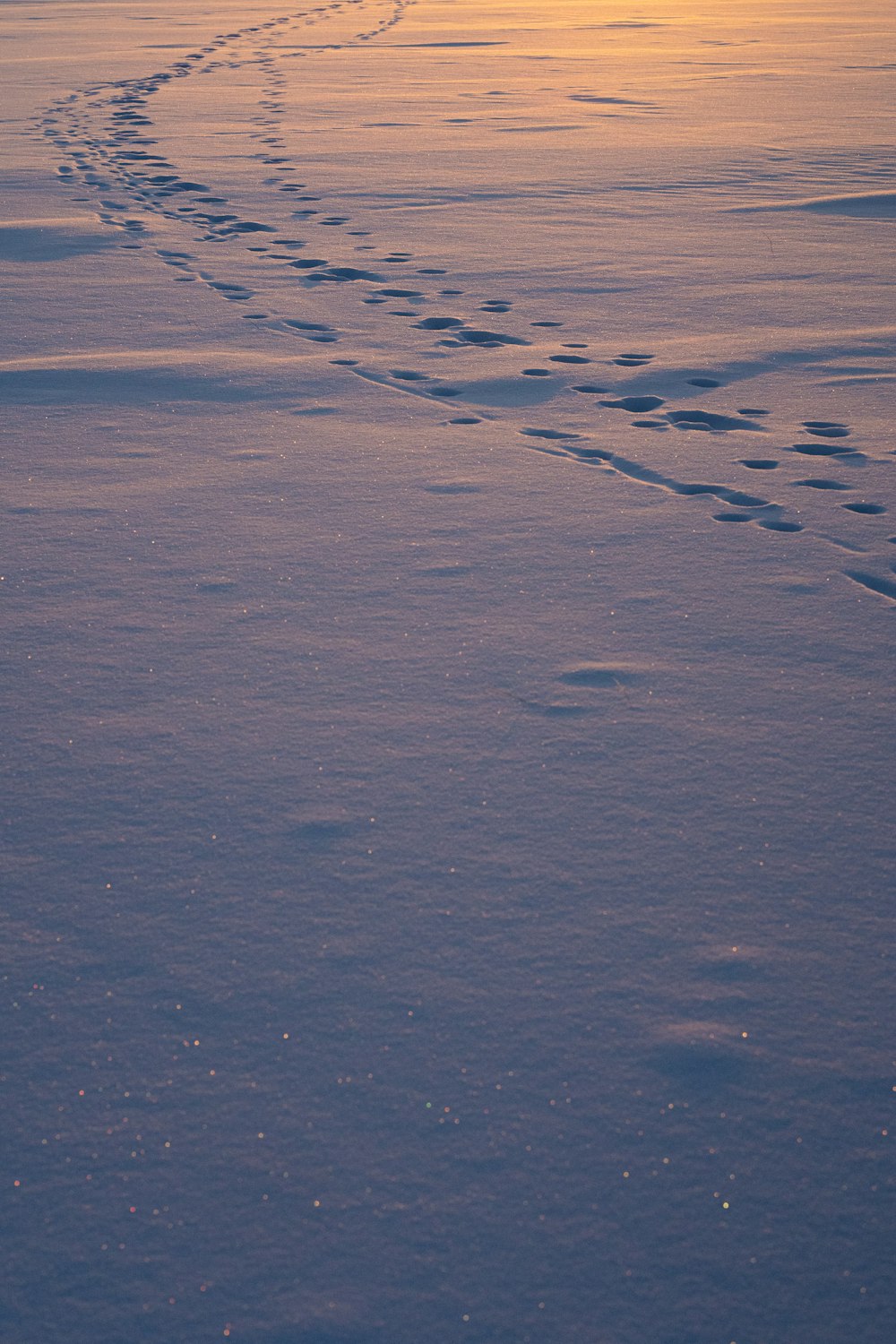 a trail of footprints in the snow at sunset