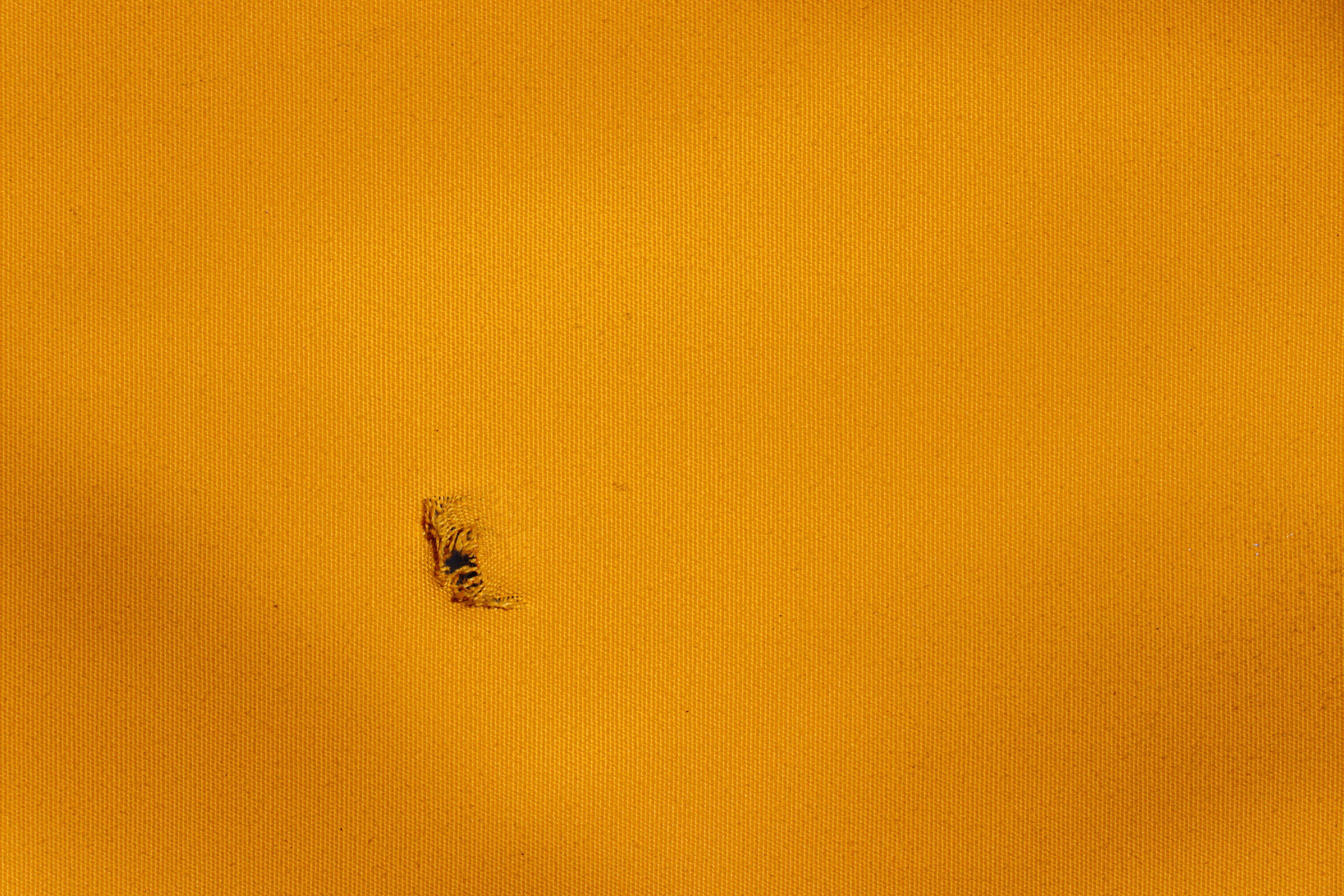 a close up of a yellow plate with a bug on it