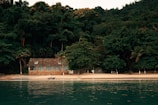 A serene beachfront scene with a small house nestled among lush green trees. The house has a rustic stone facade and is situated on a sandy beach. The calm, turquoise water of the sea gently approaches the shore. Tall palm trees add a tropical touch to the setting, and the dense forest behind the house creates a sense of seclusion and tranquility.
