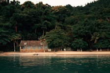 A serene beachfront scene with a small house nestled among lush green trees. The house has a rustic stone facade and is situated on a sandy beach. The calm, turquoise water of the sea gently approaches the shore. Tall palm trees add a tropical touch to the setting, and the dense forest behind the house creates a sense of seclusion and tranquility.