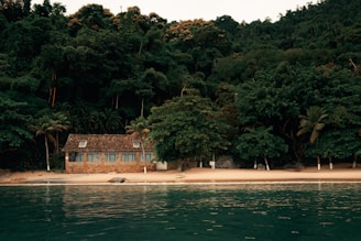 A serene beachfront scene with a small house nestled among lush green trees. The house has a rustic stone facade and is situated on a sandy beach. The calm, turquoise water of the sea gently approaches the shore. Tall palm trees add a tropical touch to the setting, and the dense forest behind the house creates a sense of seclusion and tranquility.