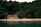 A serene beachfront scene with a small house nestled among lush green trees. The house has a rustic stone facade and is situated on a sandy beach. The calm, turquoise water of the sea gently approaches the shore. Tall palm trees add a tropical touch to the setting, and the dense forest behind the house creates a sense of seclusion and tranquility.