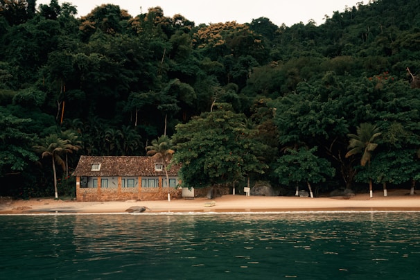 A serene beachfront scene with a small house nestled among lush green trees. The house has a rustic stone facade and is situated on a sandy beach. The calm, turquoise water of the sea gently approaches the shore. Tall palm trees add a tropical touch to the setting, and the dense forest behind the house creates a sense of seclusion and tranquility.