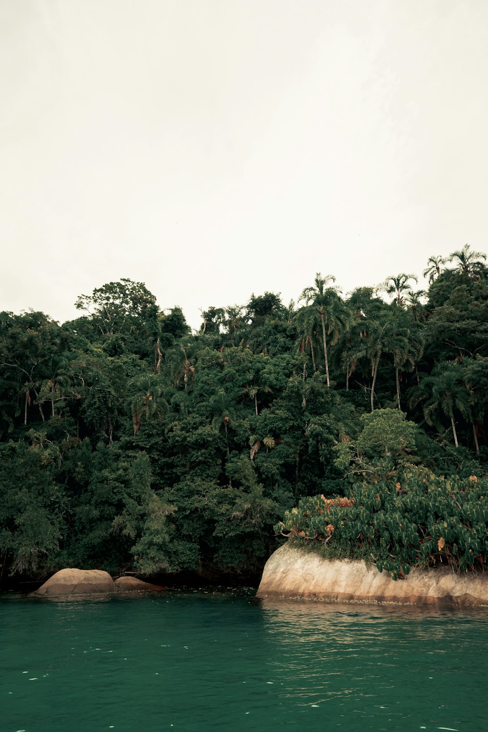 a body of water surrounded by trees and rocks