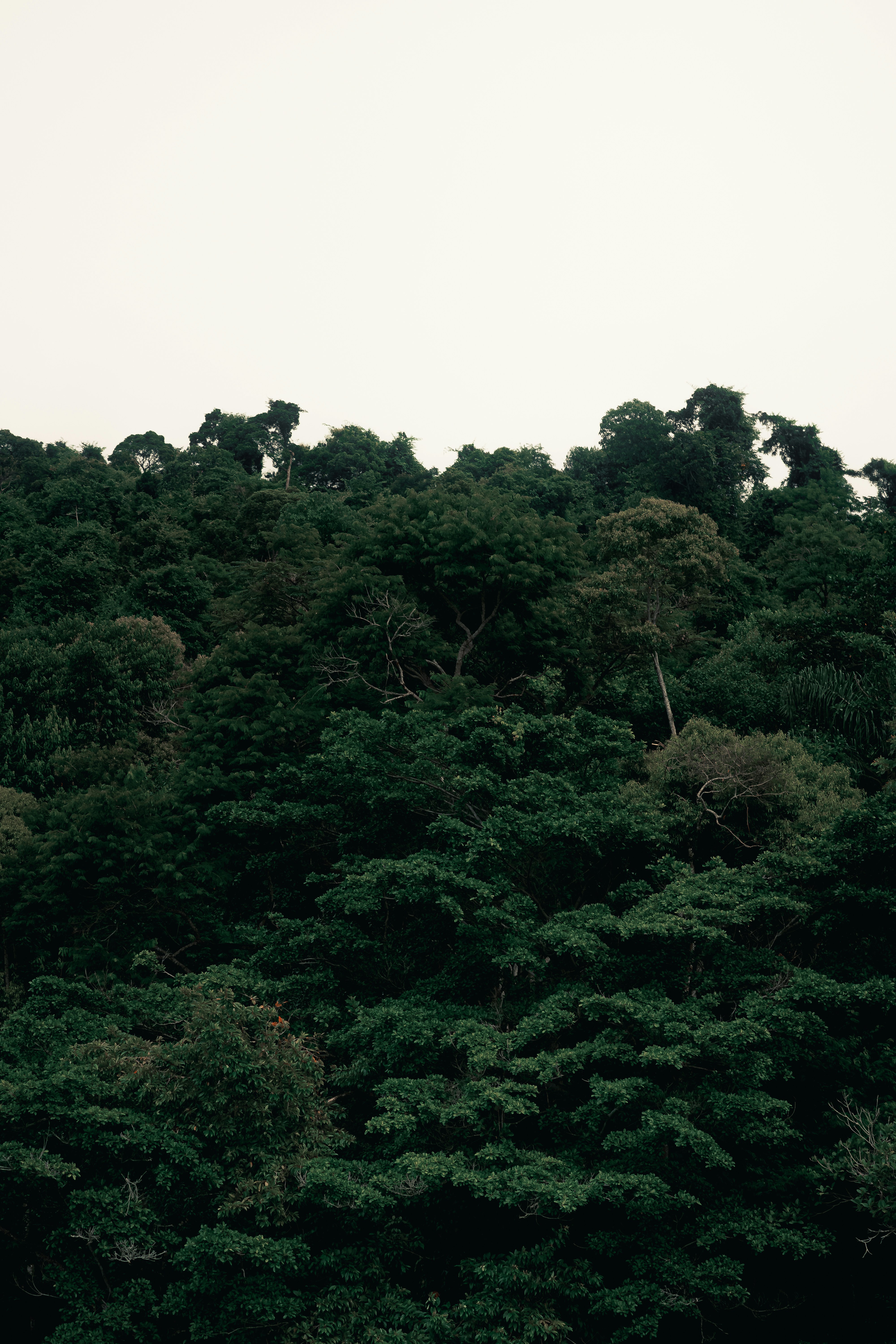 Photo by limamauro23