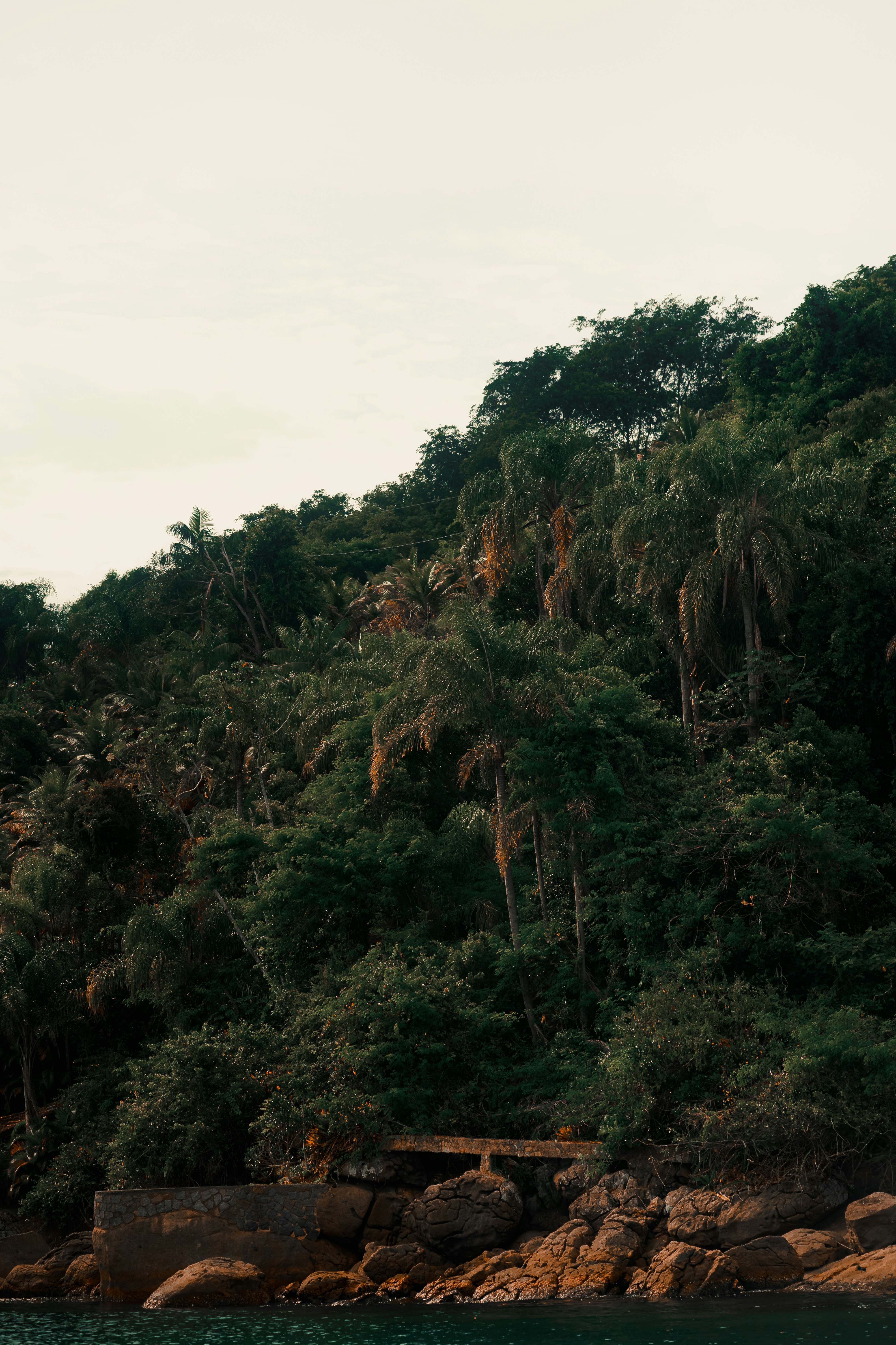 Photo by limamauro23