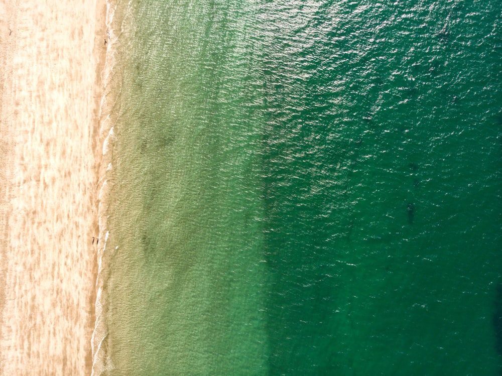 an aerial view of a beach and the ocean