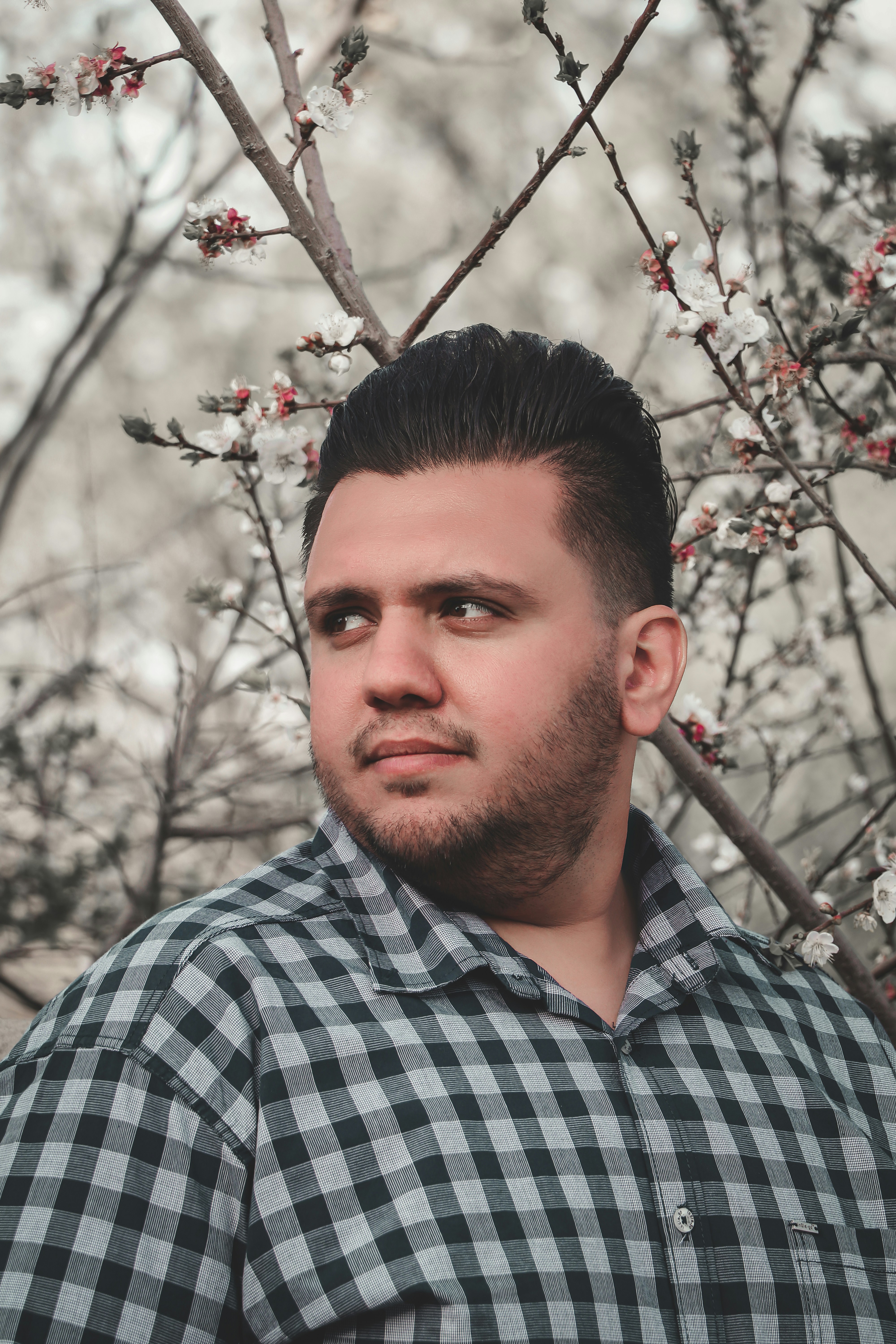 Photo by sajjadtameh