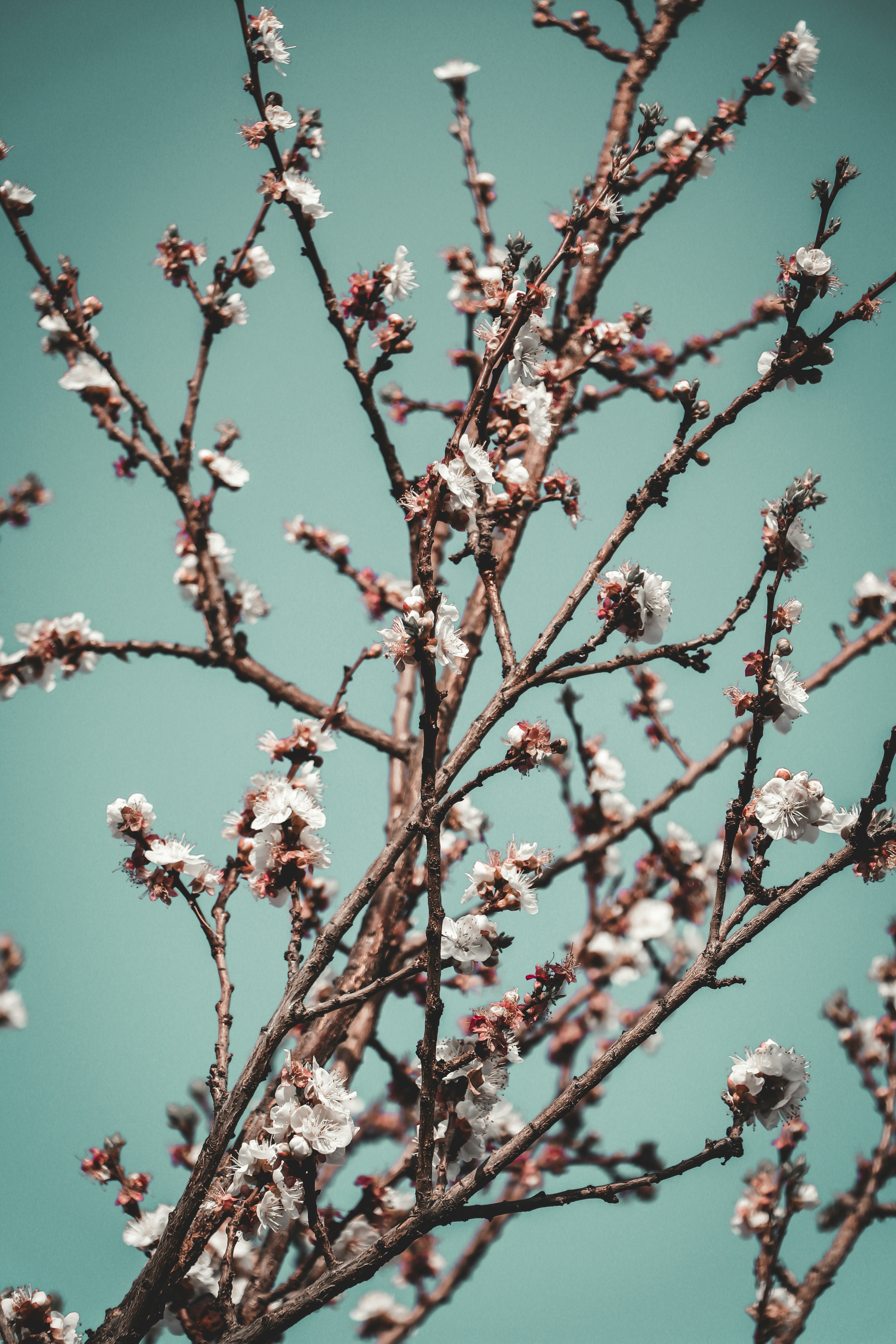 Photo by sajjadtameh