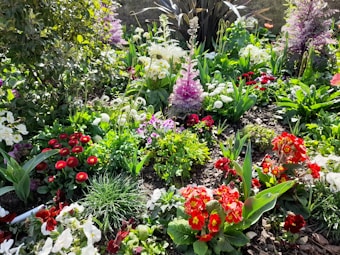 A vibrant garden full of various colorful flowers and lush green foliage. The scene includes red, white, and purple blossoms surrounded by fresh greenery, with sunlight illuminating the area, creating a lively and cheerful atmosphere.