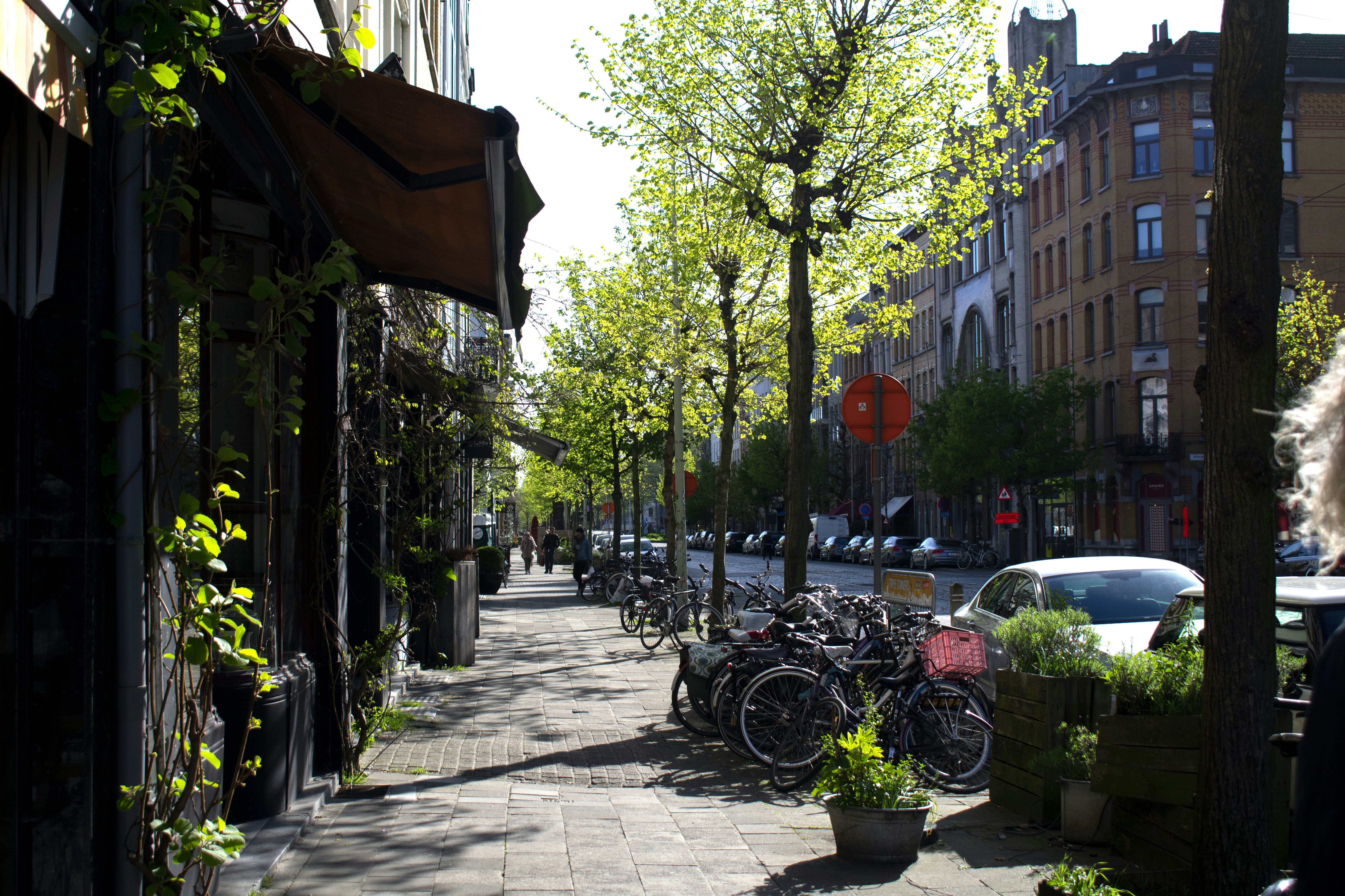 Photo by brechtcorbeel