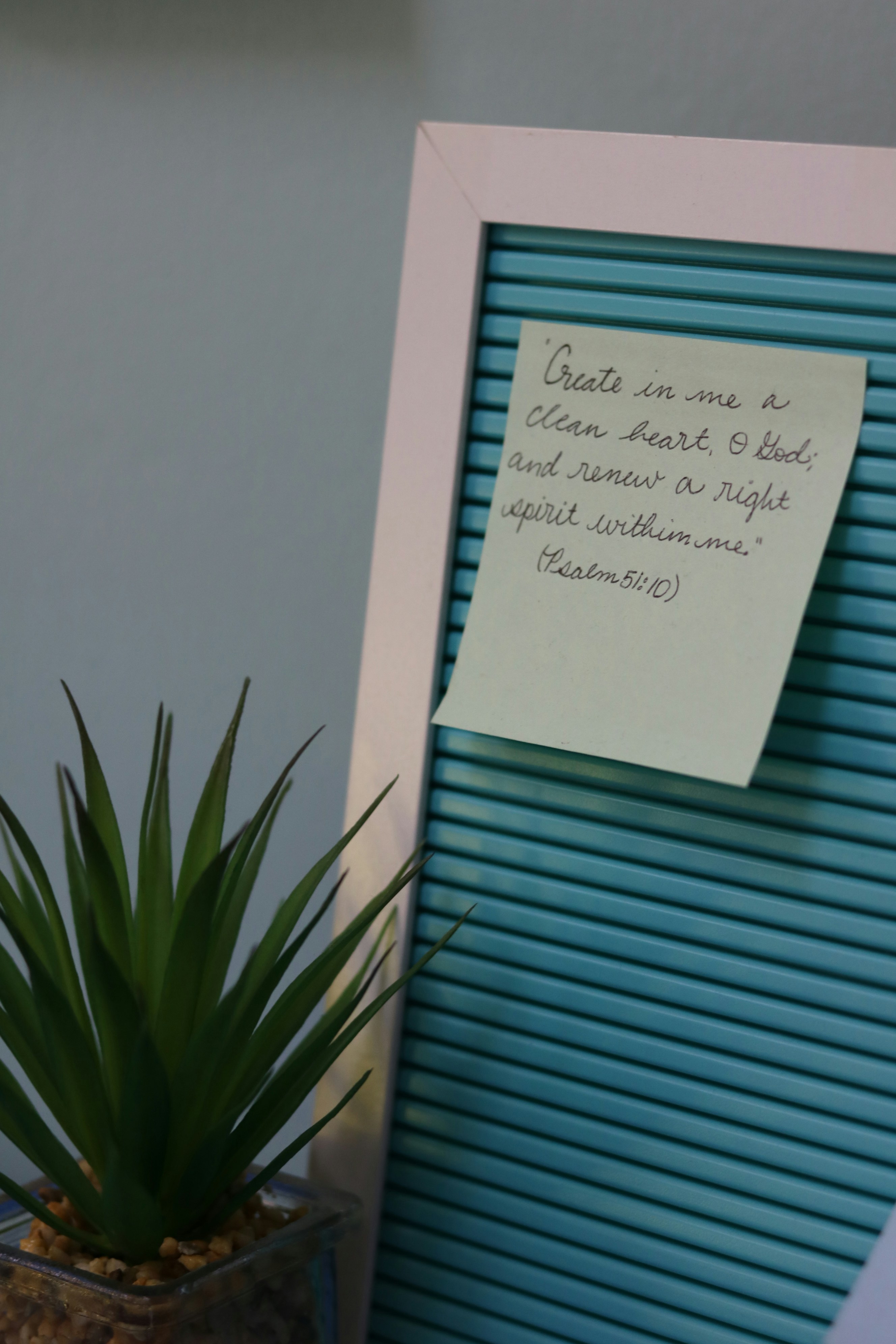 a potted plant with a note attached to it