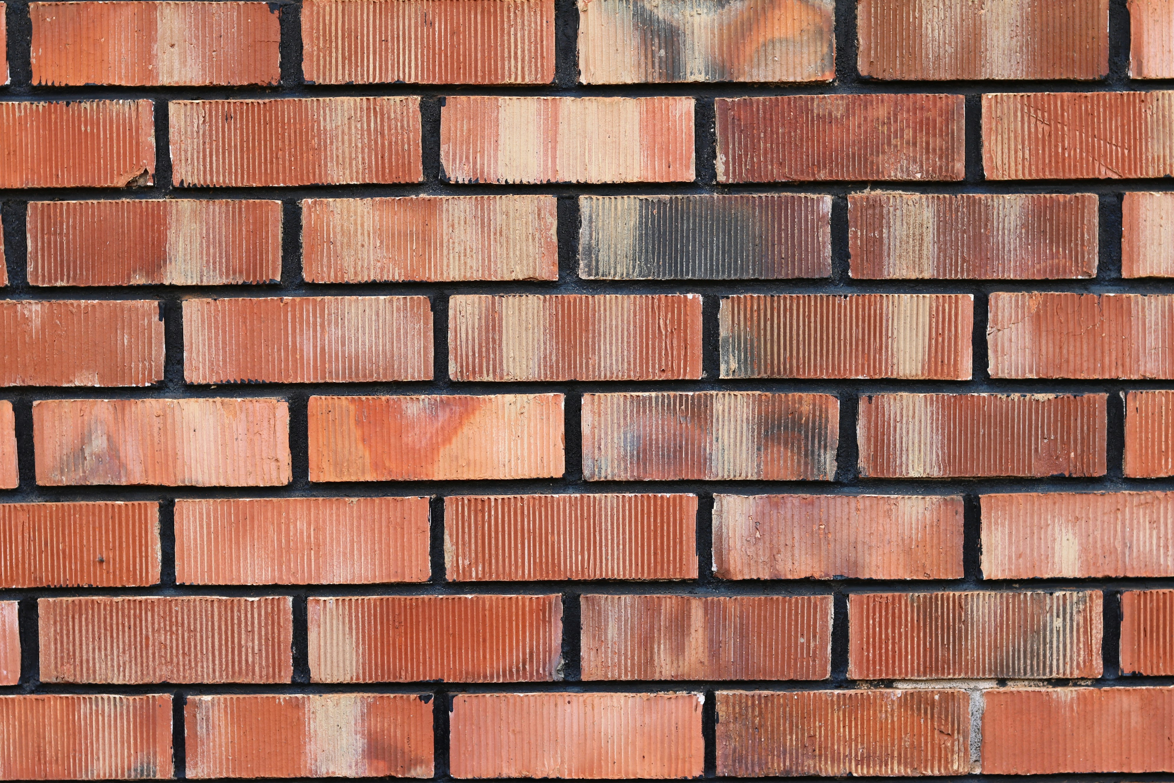 Photo by free_indeed_john8_36