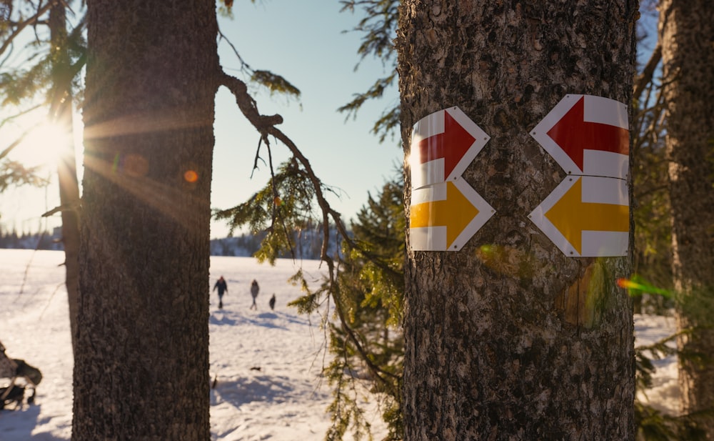 a couple of signs on a tree in the snow