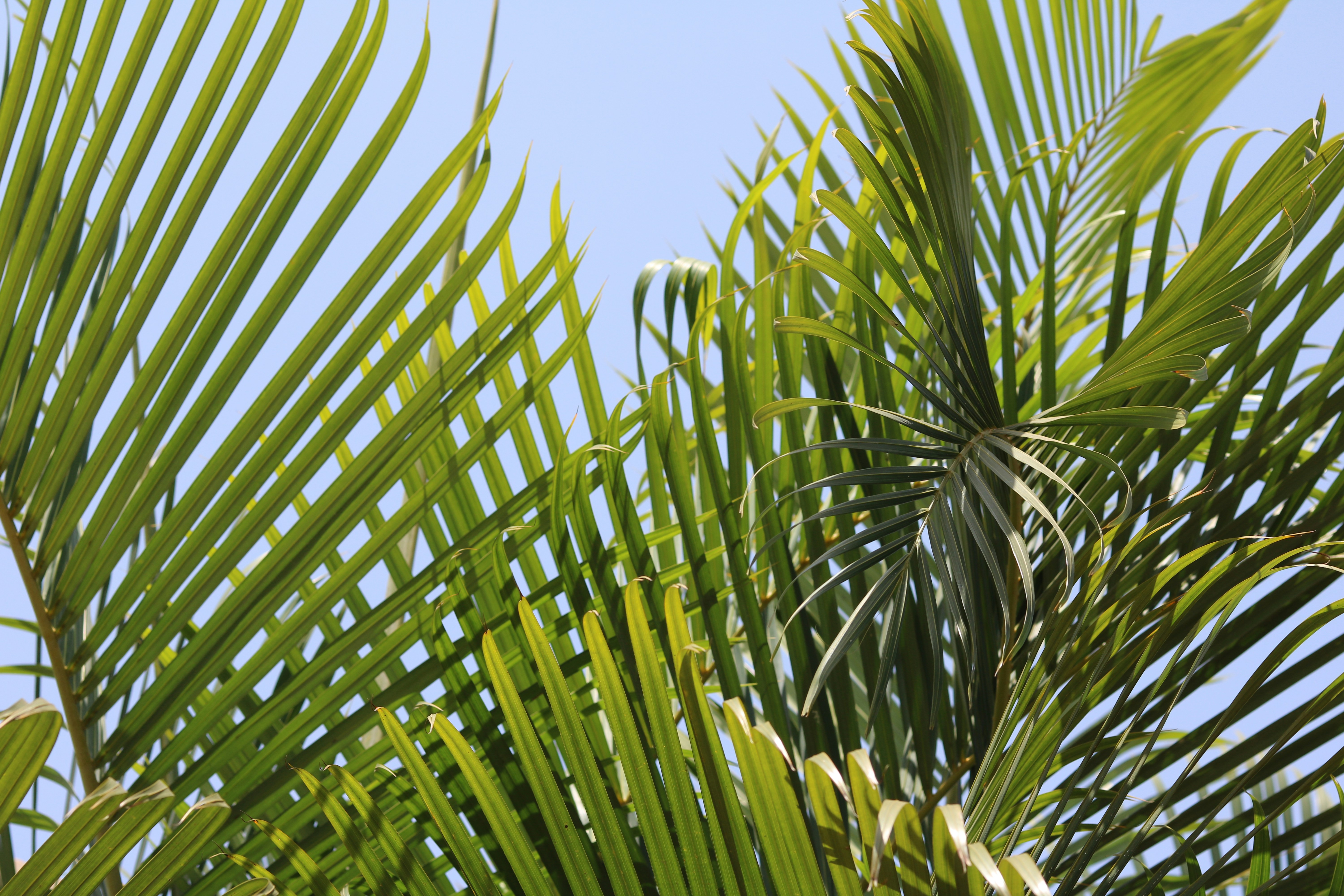 Photo by free_indeed_john8_36