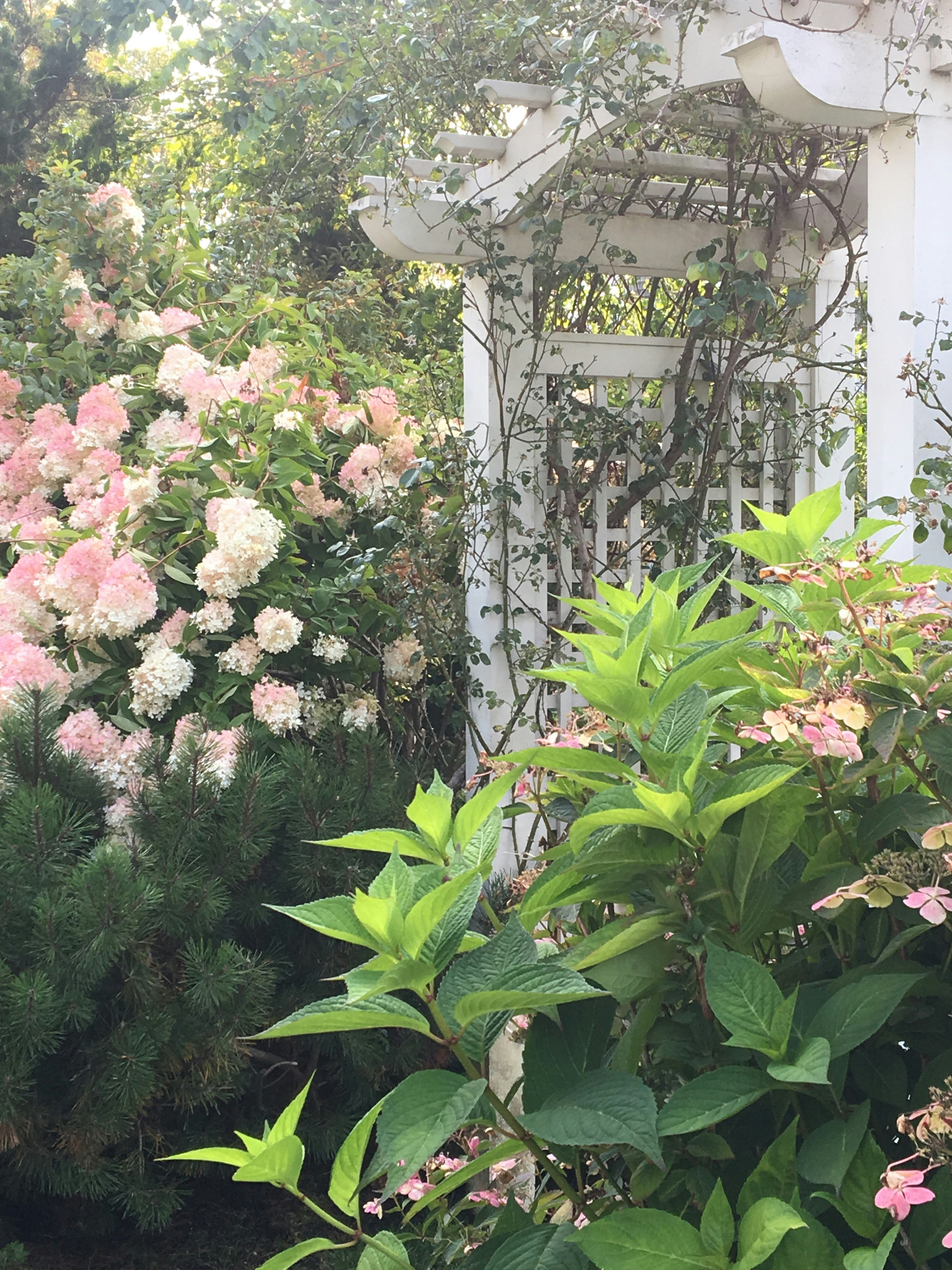 Photo by susanelizabethjones_art